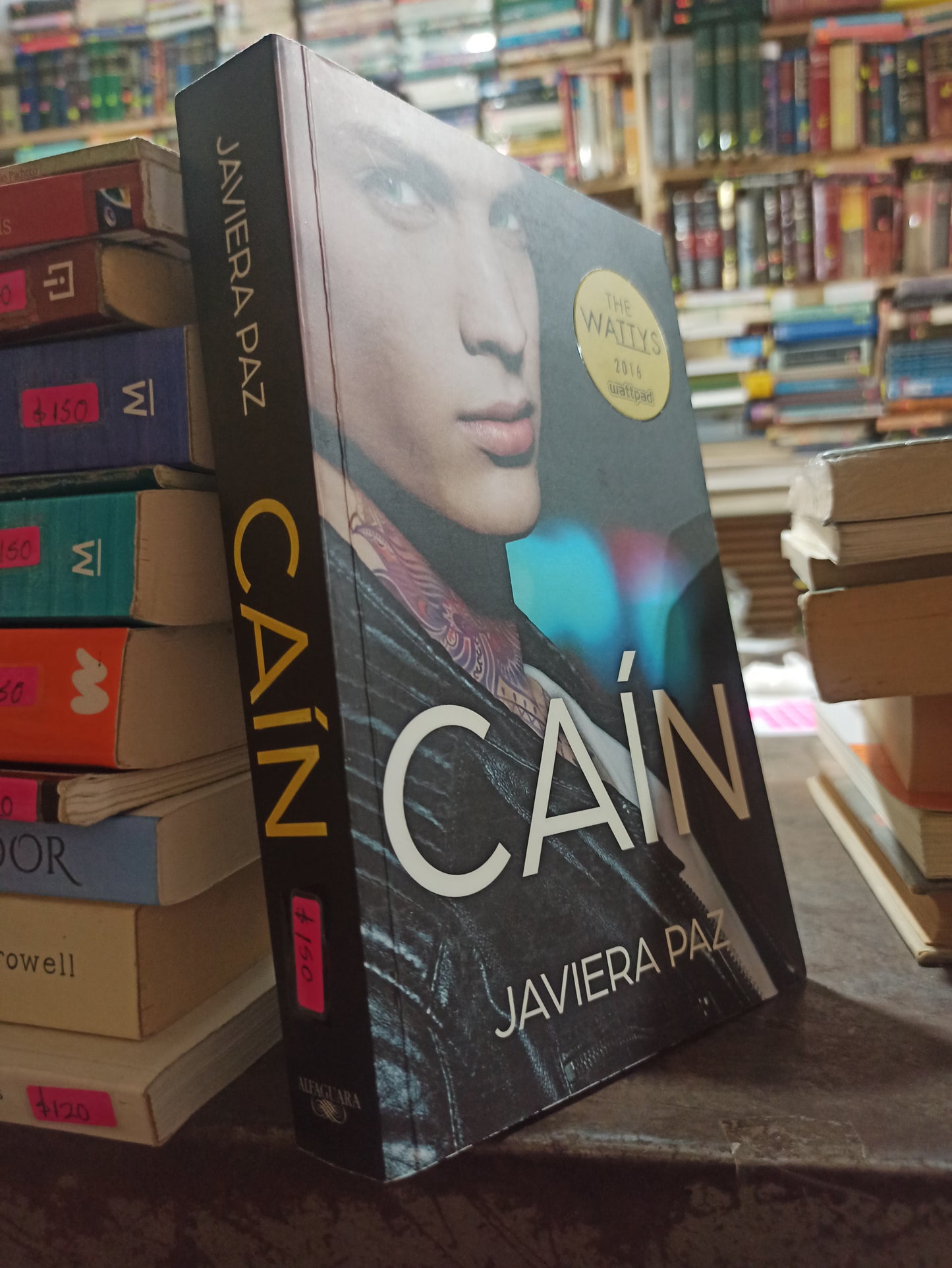 CAIN POR JAVIERA PAZ USADO NOVELAS ALDAMA
