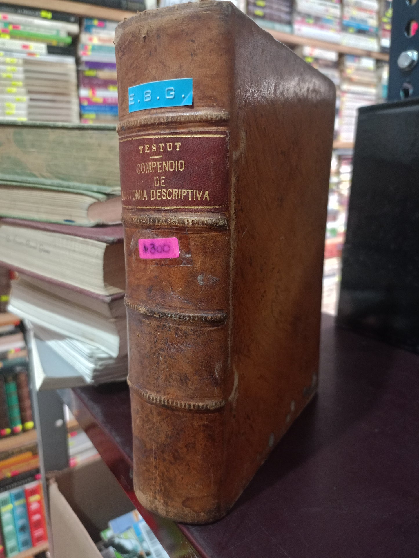 COMOENDIO DE ANATOMIA DESCRIPTIVA POR TESTUT USADO SALUD LITERARIO 305