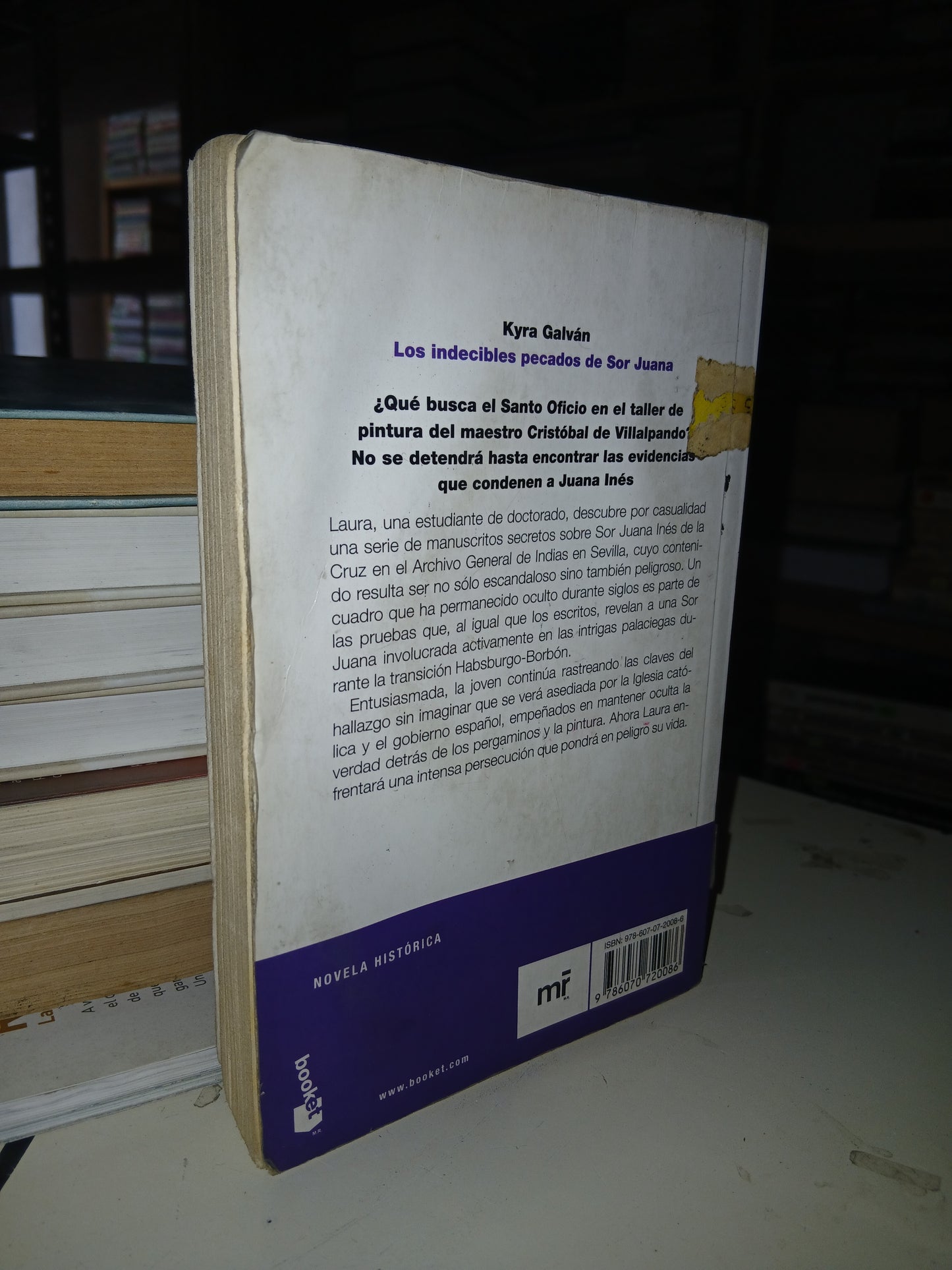 LOS INDECIBLES PECADOS DE SOR JUANA POR KYRA GALVÁN USADO NOVELA LITERARIO 207