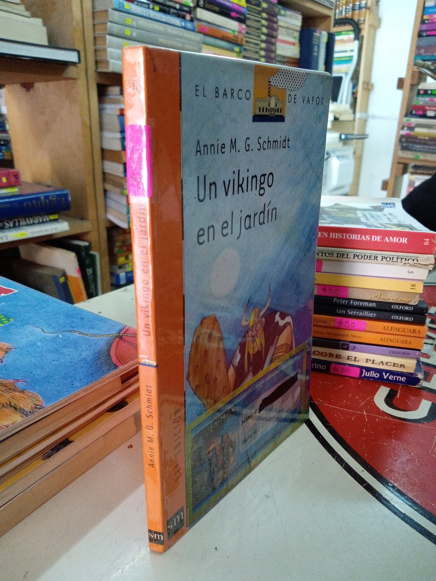 UN VIKINGO EN EL JARDIN POR ANNIE M G SCHMIDT USADO INFANTIL LITERARIO 207