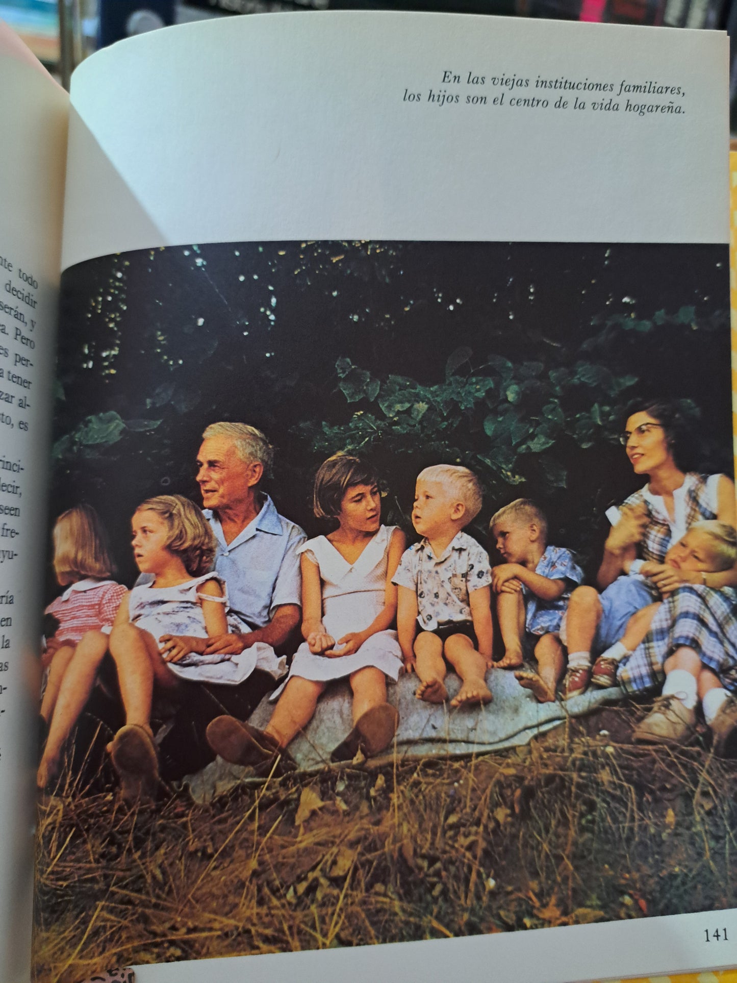 LA CRISIS DE LA INSTITUCIÓN FAMILIAR USADO PSICOLOGÍA LITERARIO 305