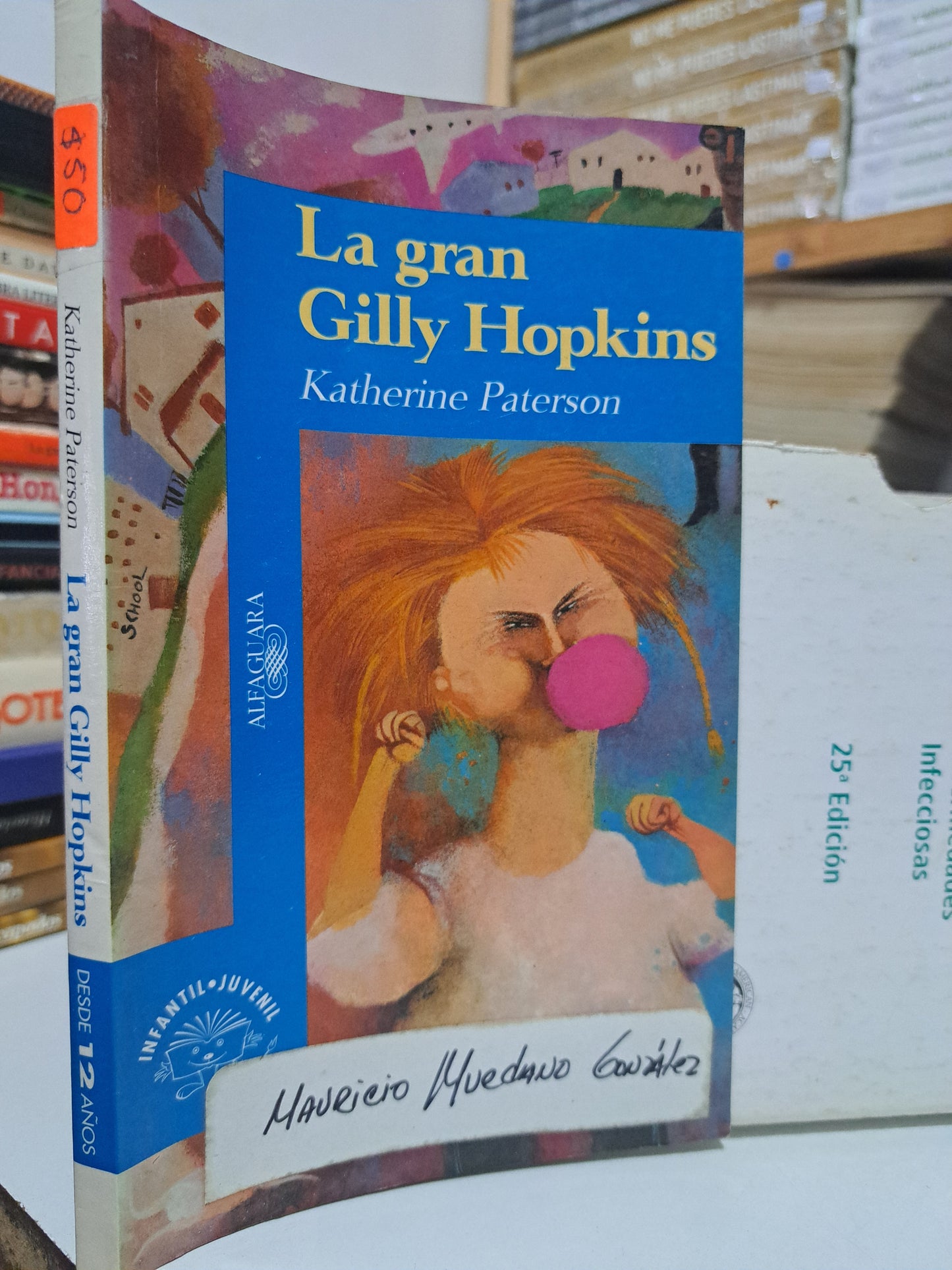 LA GRAN GILLY HOPKINS KATHERINE PATERSON USADO NOVELA JUÁREZ