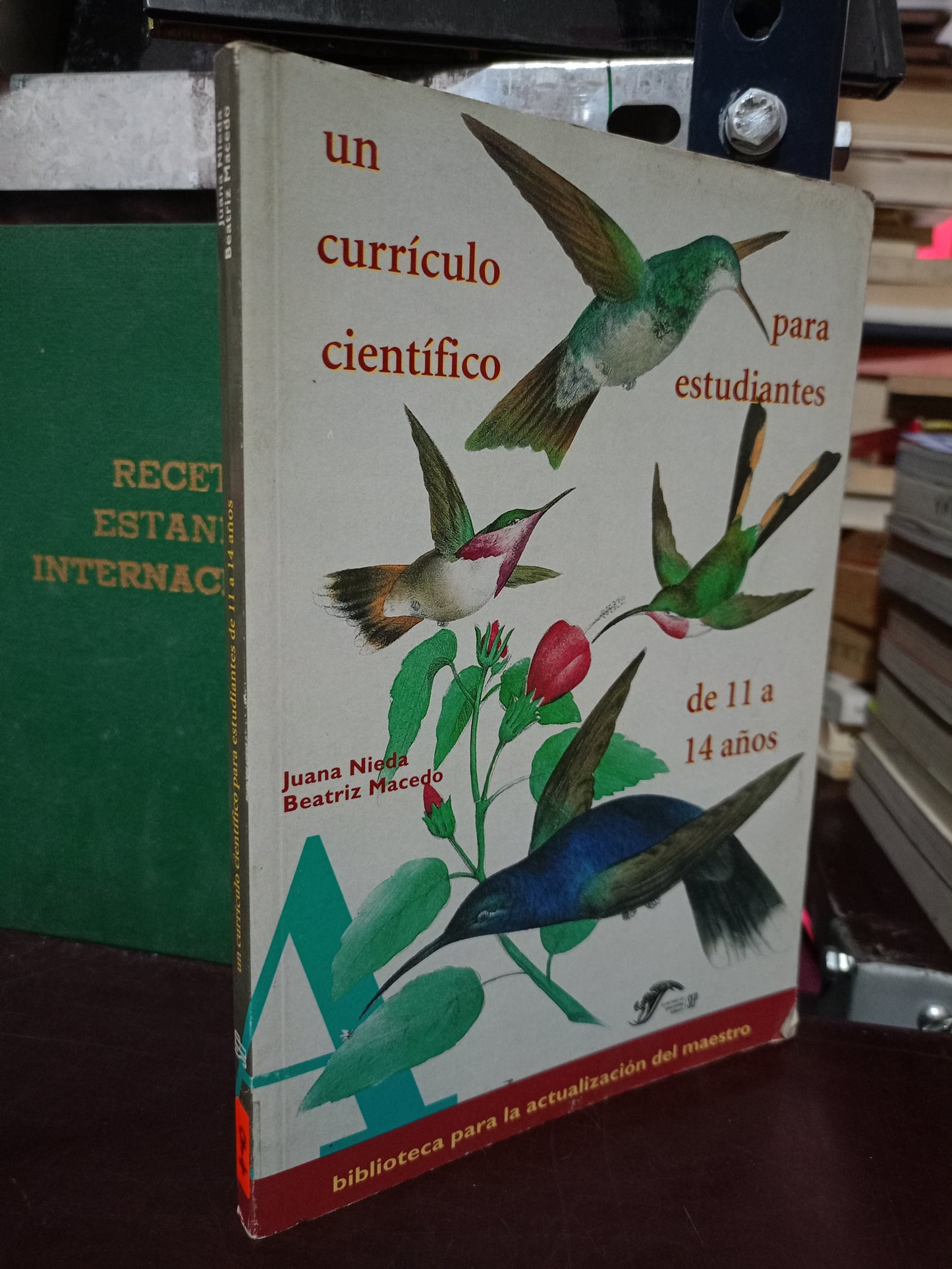 UN CURRÍCULO CIENTÍFICO PARA ESTUDIANTES DE 11 A 14 AÑOS POR JUANA NIEDA Y BEATRIZ MACEDO USADO EDUCACIÓN LITERARIO 305