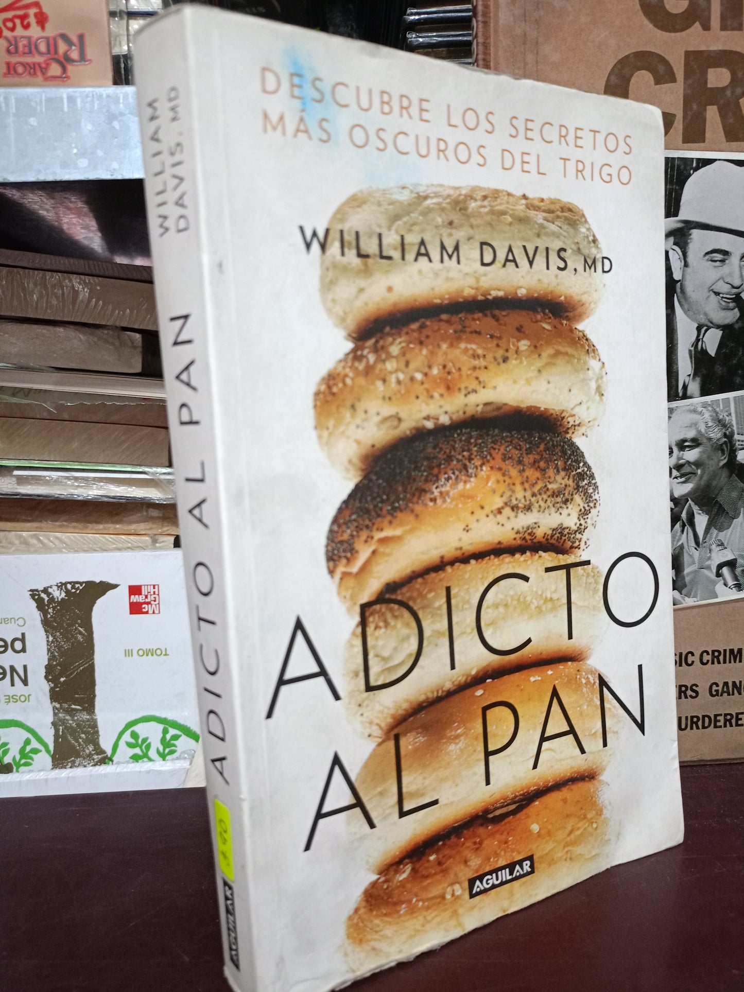 ADICTO AL PAN WILLIAM DAVIS USADO COCINA LITERARIO #305