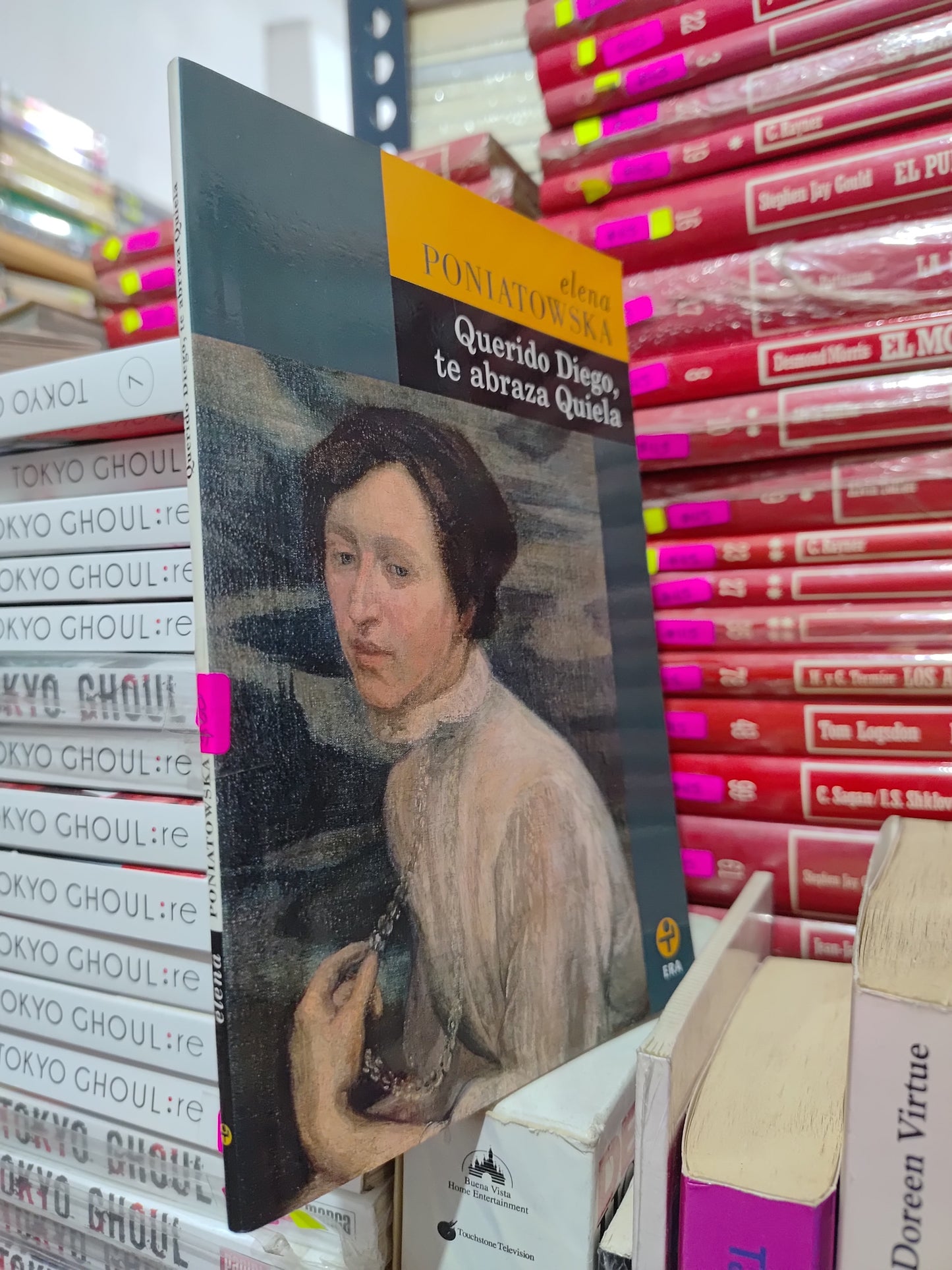 QUERIDO DIEGO TE ABRAZA QUIELA USADO NOVELAS LITERARIO 305