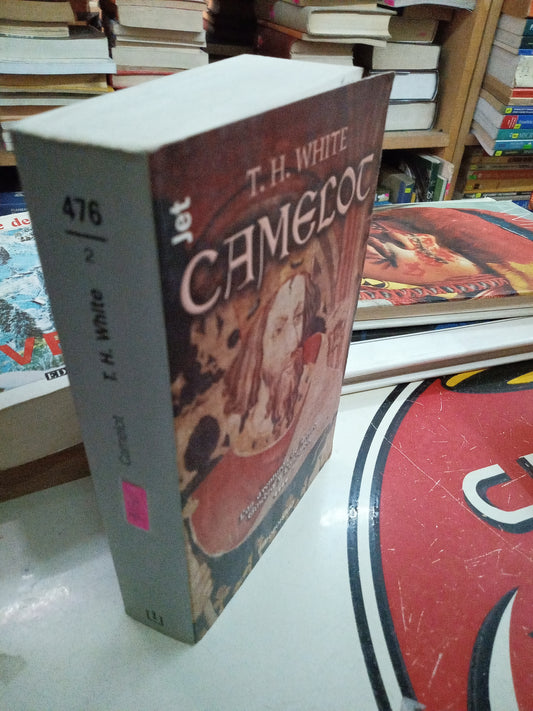 CAMELOT LAS AVENTURAS DE ARTURO GINEBRA Y LANZAROTE PIR T H WHITE USADO NOVELA LITERARIO 207
