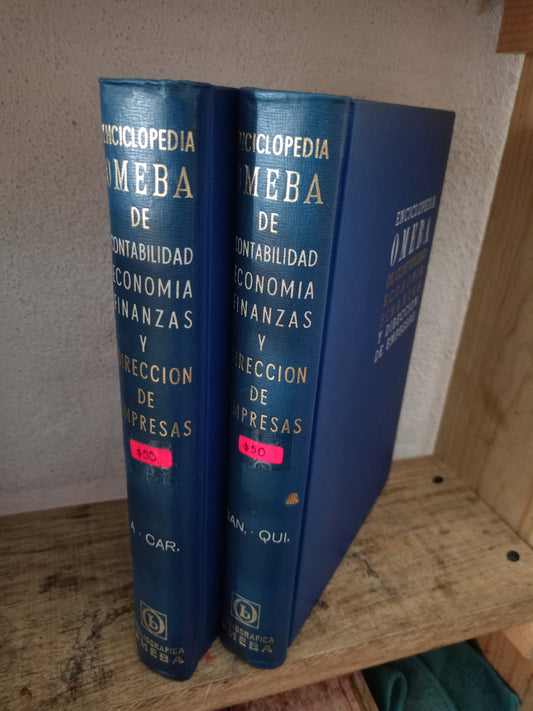ENCICLOPEDIA OMEBA DE CONTABILIDAD FINANZAS ECONOMÍA Y DIRECCIÓN DE EMPRESAS POR JUAN RENÉ BACH USADO ADMINISTRACIÓN LITERARIO 305