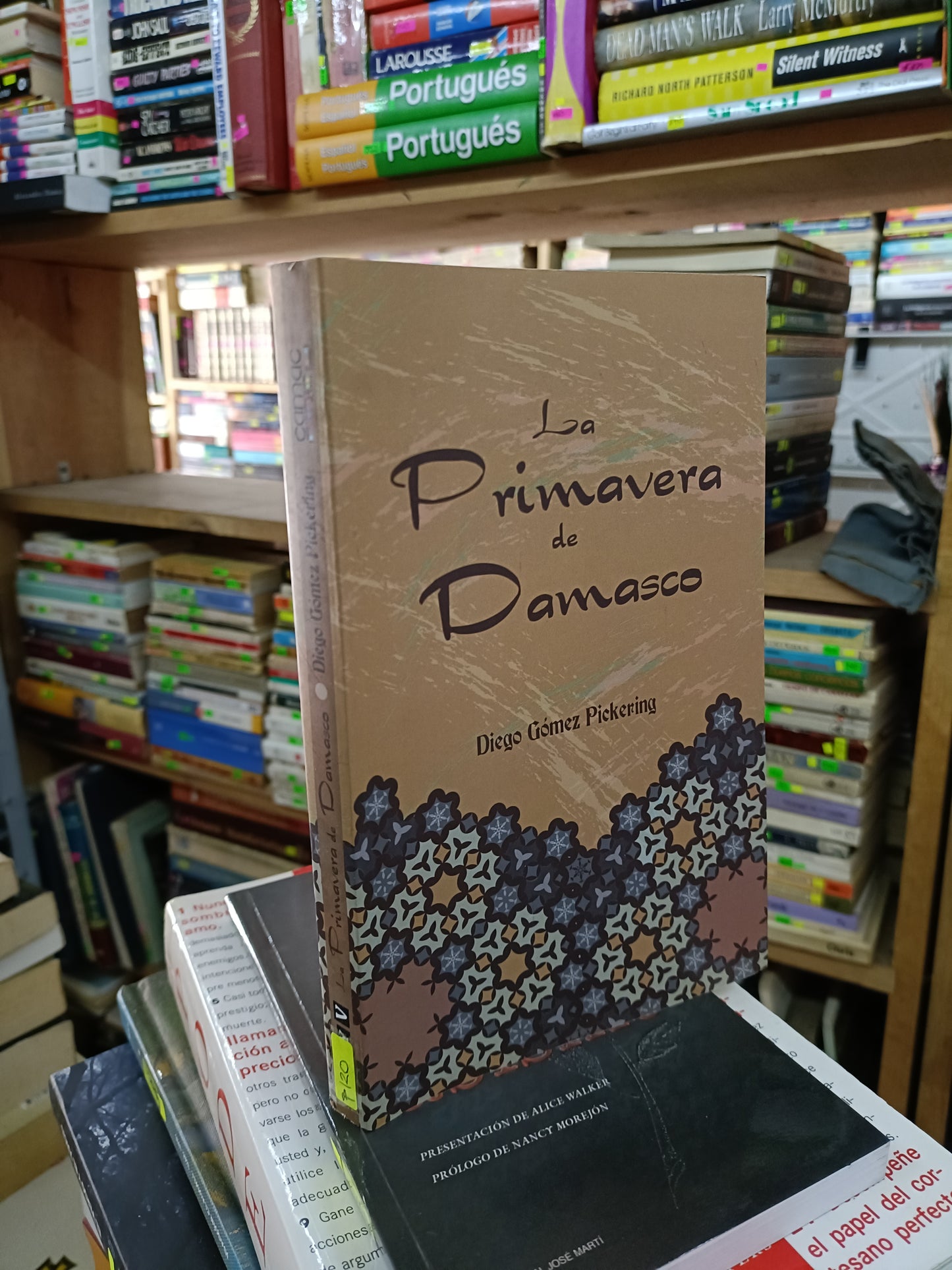 LA PRIMAVERA DE DAMASO POR DIEGO GÓMEZ PICKERING USADO NOVELA LITERARIO 207