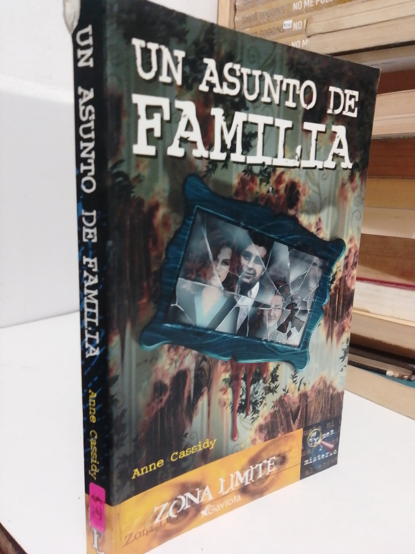 UN ASUNTO DE FAMILIA POR ANNIE CASSIDY USADO NOVELA JUÁREZ