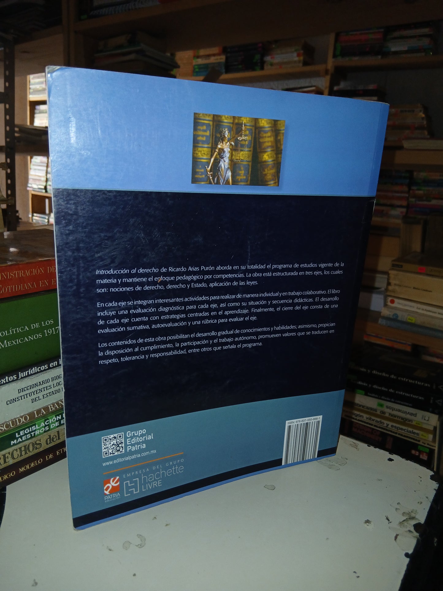 INTRODUCCIÓN AL DERECHO POR RICARDO ARIAS PURÓN USADO DERECHO LITERARIO 207