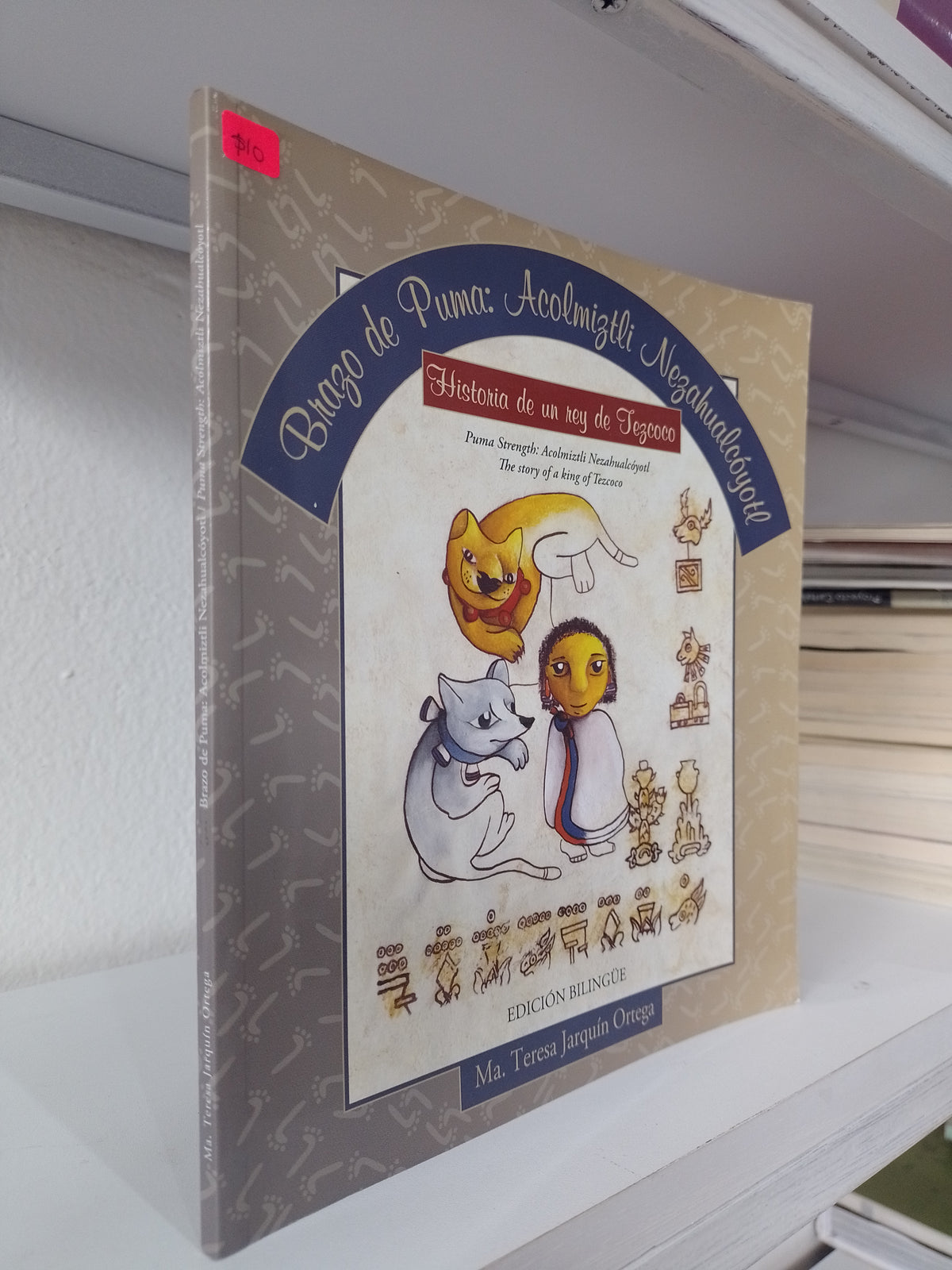 BRAZO DE PUMA ACOLMIZTLI POR MA TERESA JARQUIN ORTEGA USADO INFANTIL JUAREZ 515