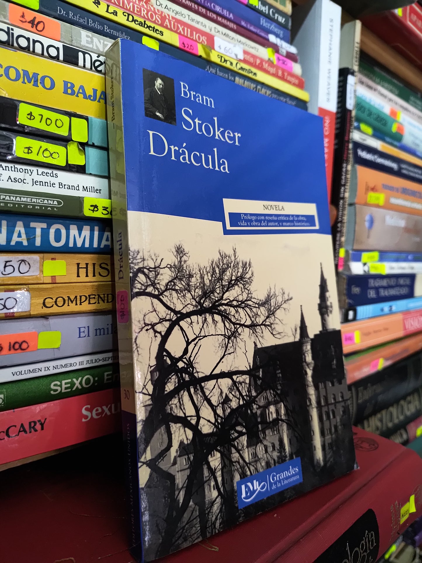 DRACULA POR BRAM STOKER USADO NOVELAS LITERARIO 305
