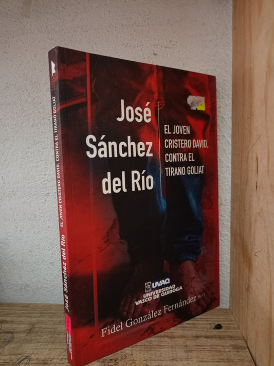 EL JOVEN CRISTERO DAVID CONTRA EL TIRANO GOLIAT JOSE SANCHEZ DEL RIO USADO NOVELA LITERARIO 305