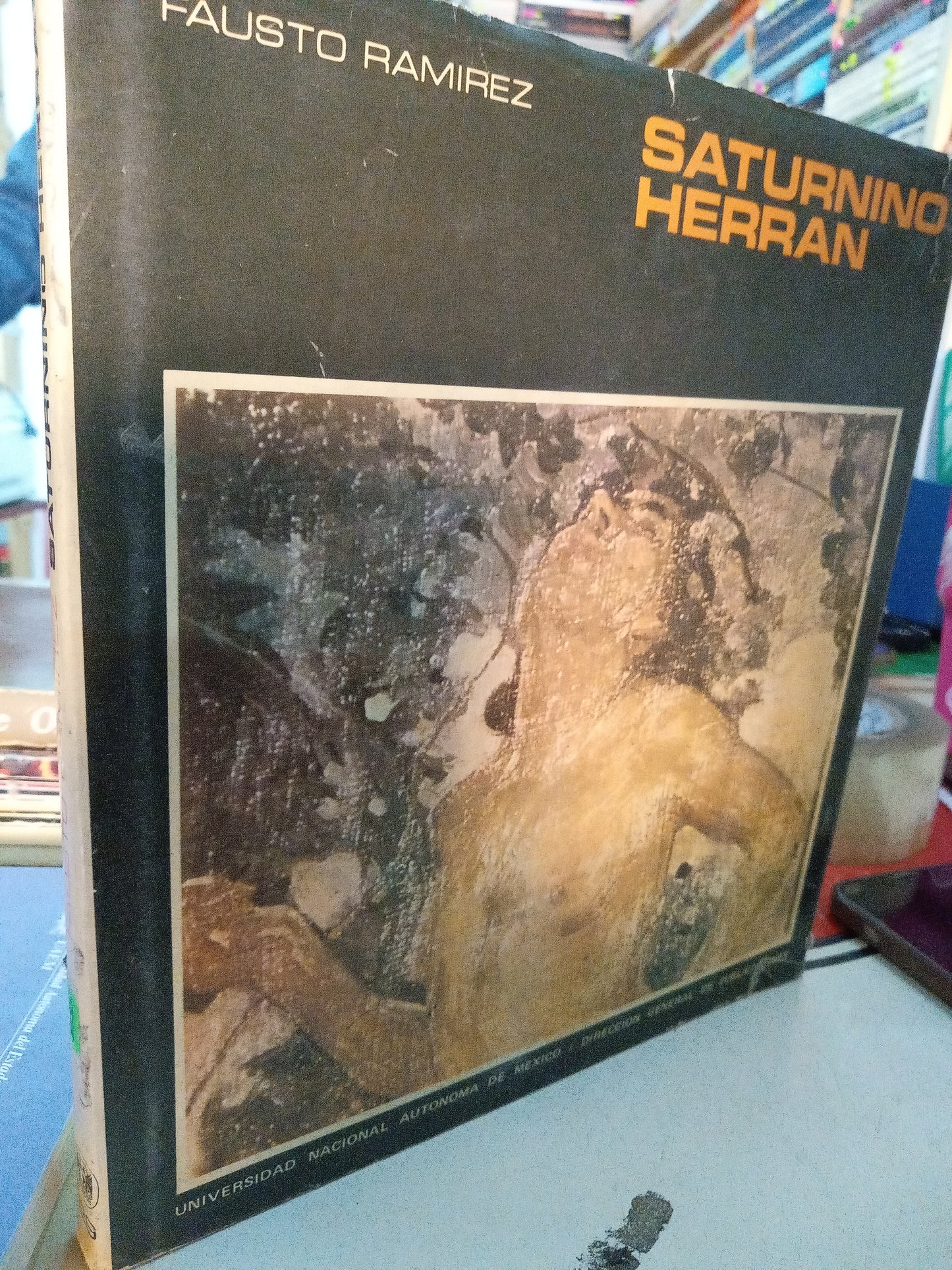 SATURNINO HERRAN POR FAUSTO RAMIREZ USADO ARTE LITERARIO 207
