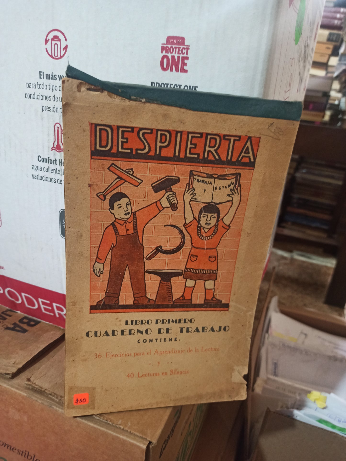 DESPIERTA CUADERNO DE TRABAJO POR CARMELA GOSGAYA RIVAS USADO ANTIGUOS ALDAMA