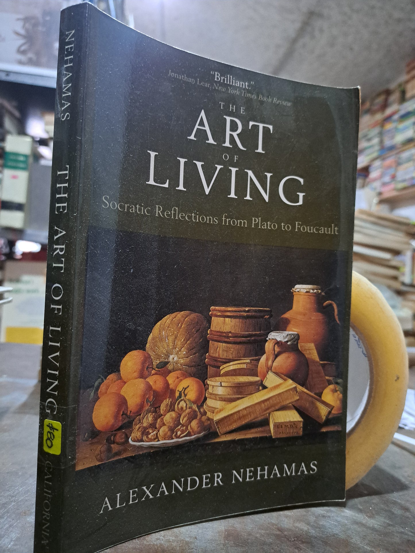 THE ART OF LIVING ALEXANDER NEHAMAS USADO ARTE ALDAMA
