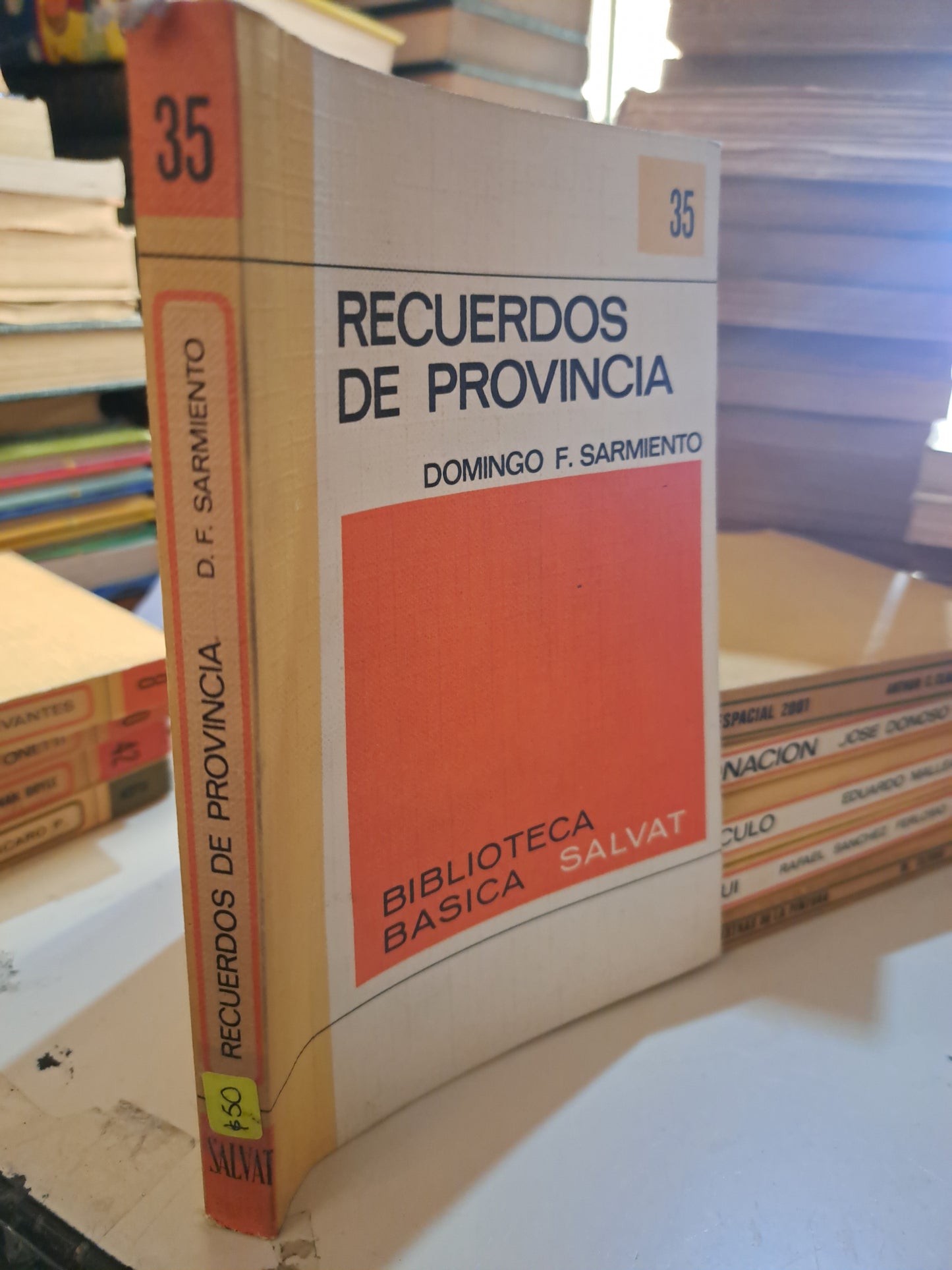 RECUERDOS DE PROVINCIA DOMINGO F. SARMIENTO USADO NOVELA LITERARIO 207