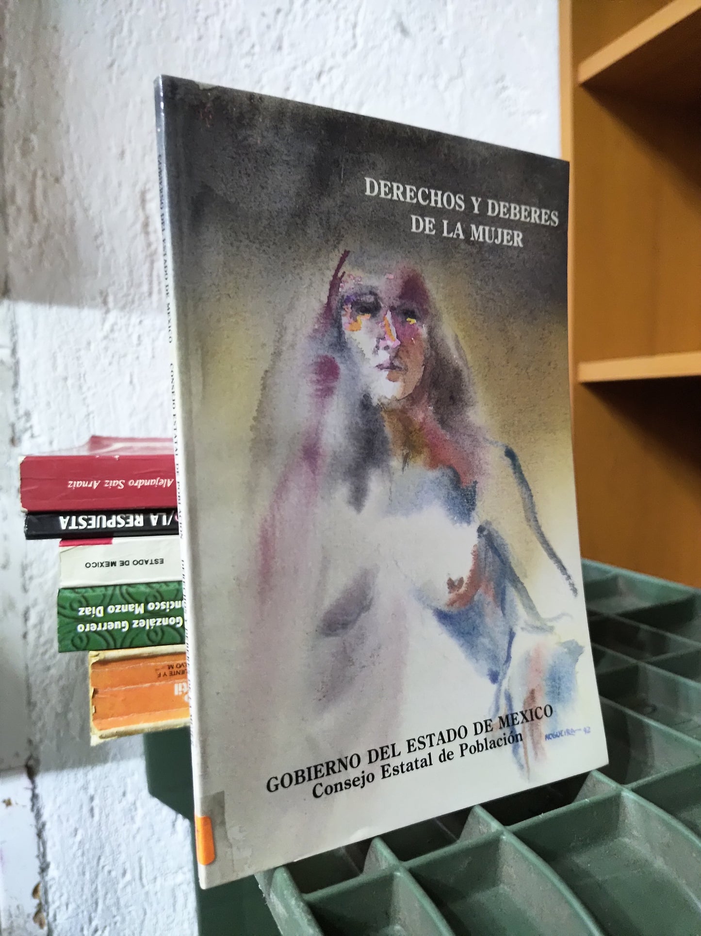 DERECHOS Y DEBERES DE LA MUJER POR EDITORIAL PARM USADO DERECHO JUAREZ 515