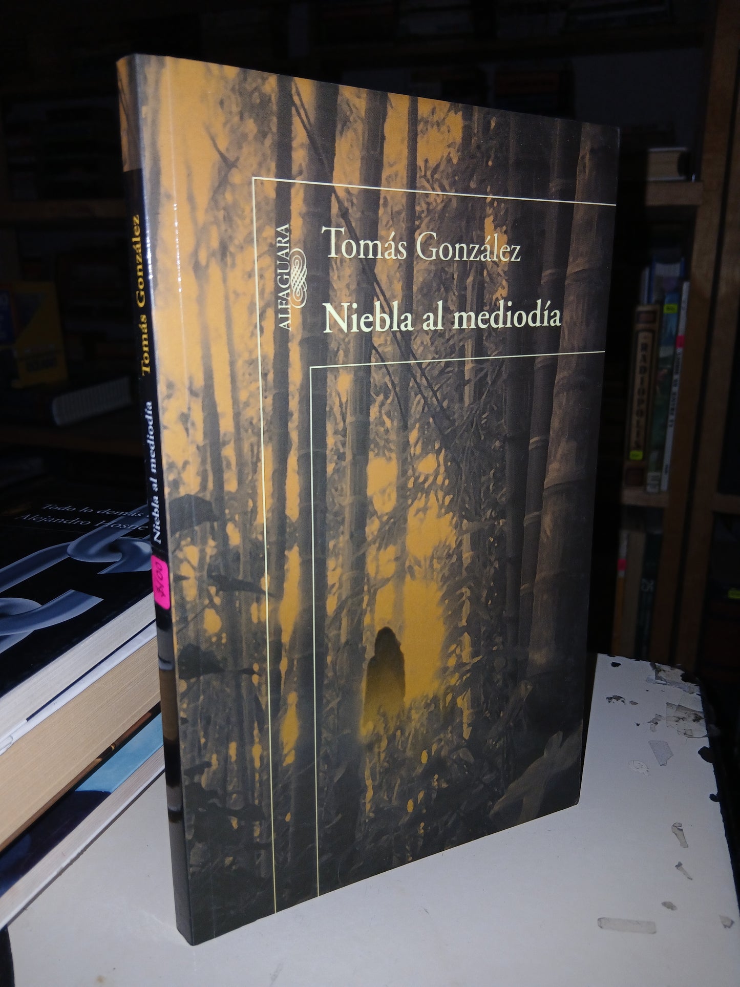 NIEBLA AL MEDIODÍA POR TOMÁS GONZÁLEZ USADO NOVELA LITERARIO 207