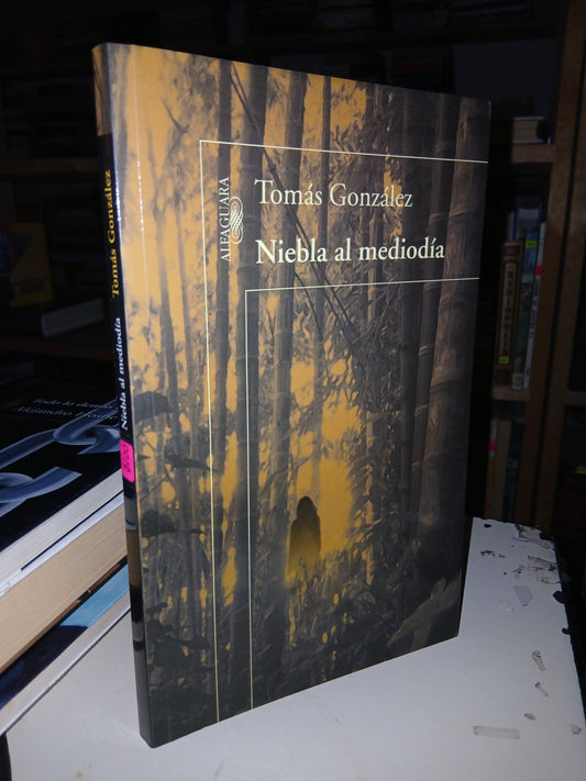 NIEBLA AL MEDIODÍA POR TOMÁS GONZÁLEZ USADO NOVELA LITERARIO 207