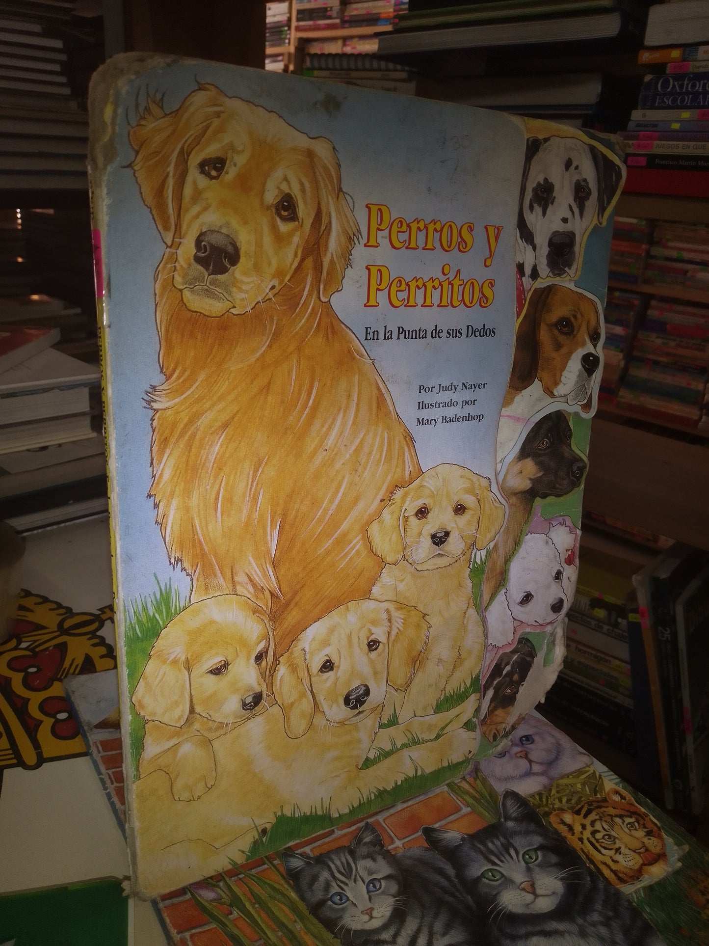 PERROS Y PERRITOS EN LA PUNTA DE SUS DEDOS POR JUDY NAYER USADO INFANTIL LITERARIO 207