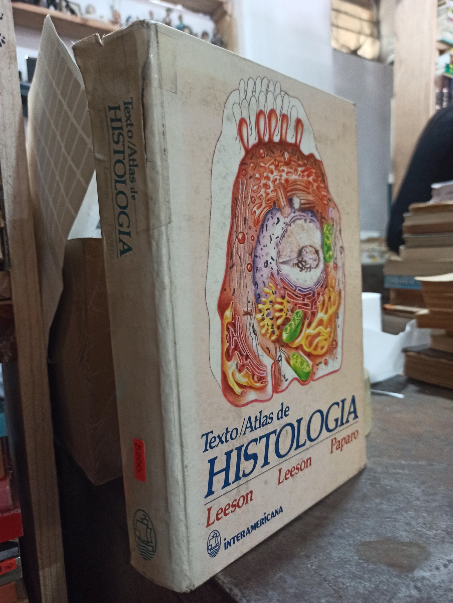 TEXTO ATLAS DE HISTOLOGIA POR THOMAS S. LESSON Y OTROS USADO SALUD ALDAMA