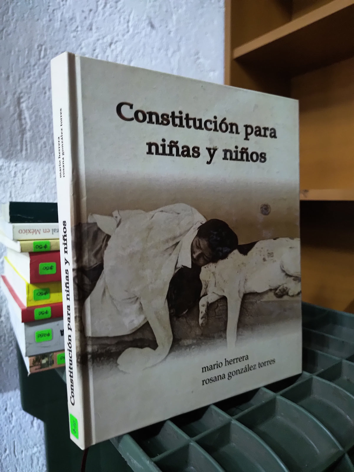 CONSTITUCION PARA NIÑAS Y NIÑOS POR MARIO HERRERA USADO DERECHO JUAREZ 515