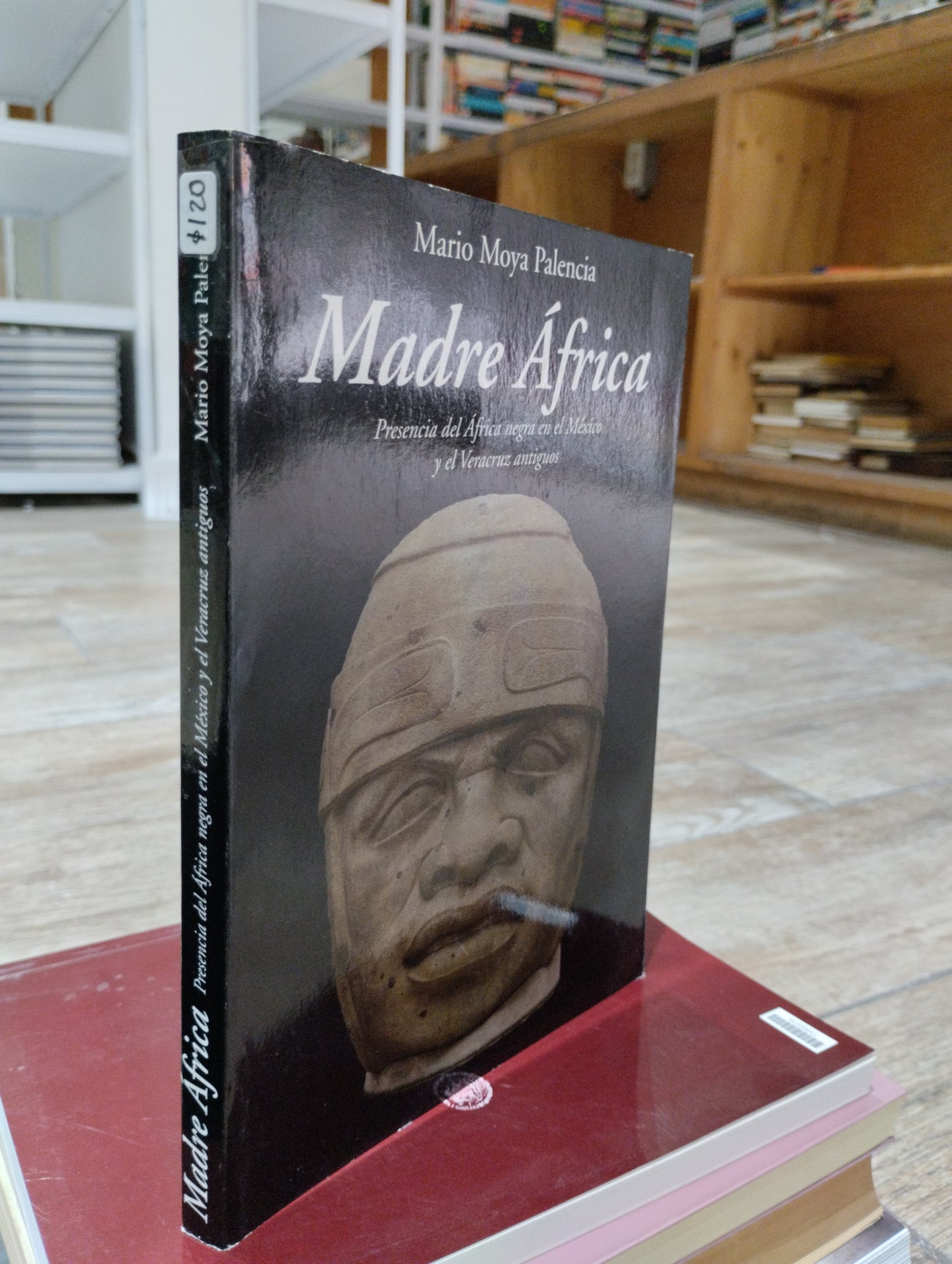 MADRE AFRICA PRESENCIA DEL AFRICA NEGRA EN EL MEXICO Y EL VERACRUZ ANTIGUOS POR MARIO MOYA PALENCIA USADO HISTORIA JUAREZ 515