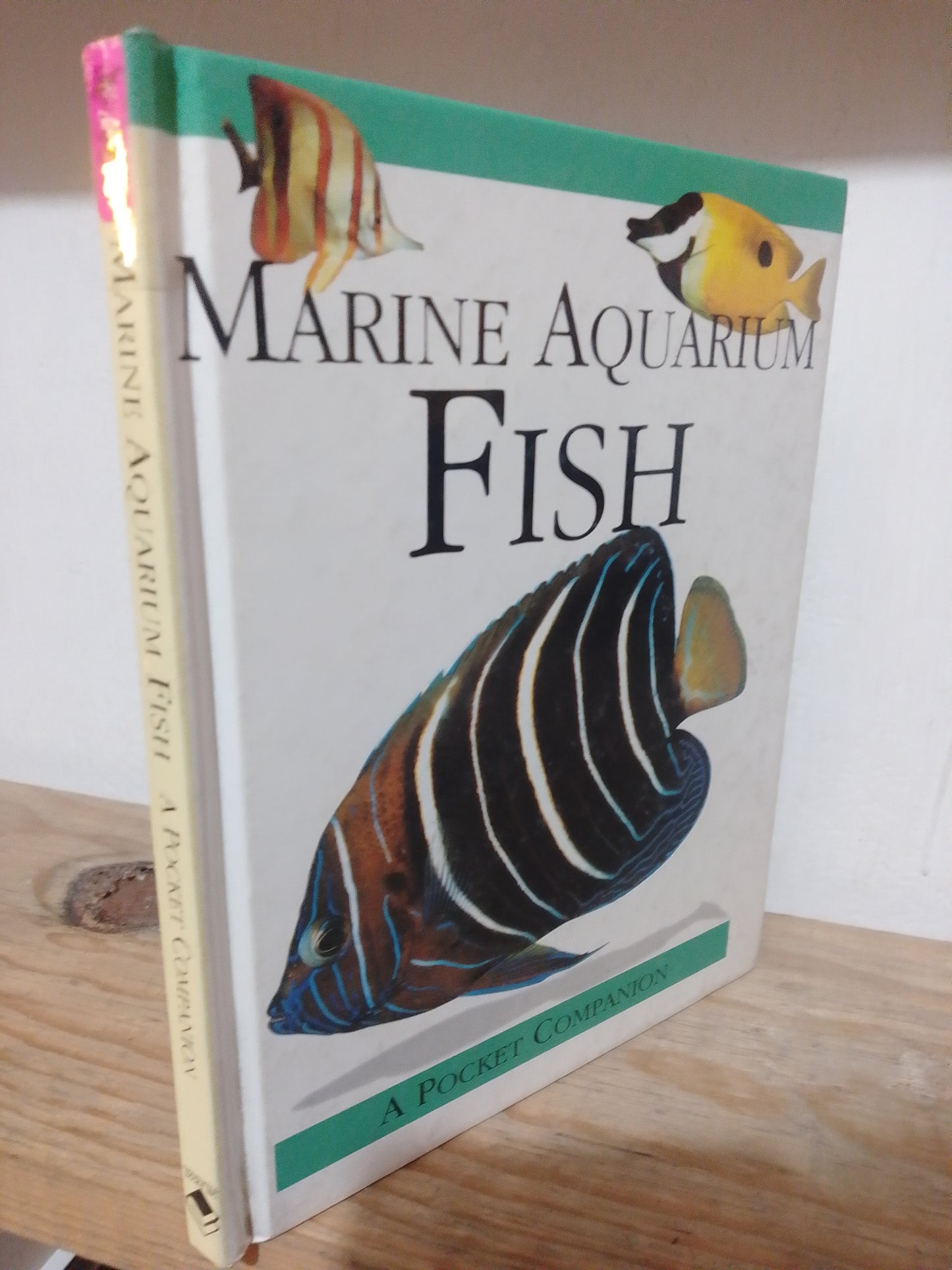 MARINE AQUARIUM FISH USADO IDIOMAS JUAREZ