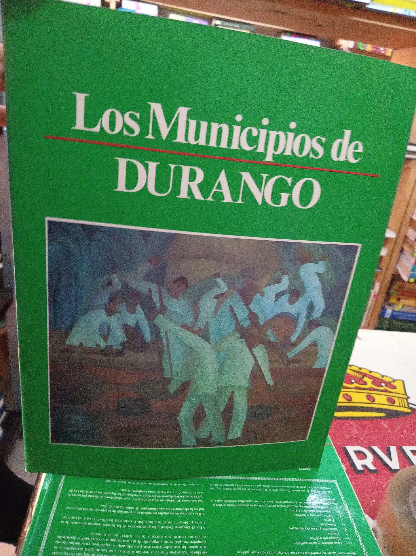 LOS MUNICIPIOS DE DURANGO USADO TURISMO LITERARIO 207