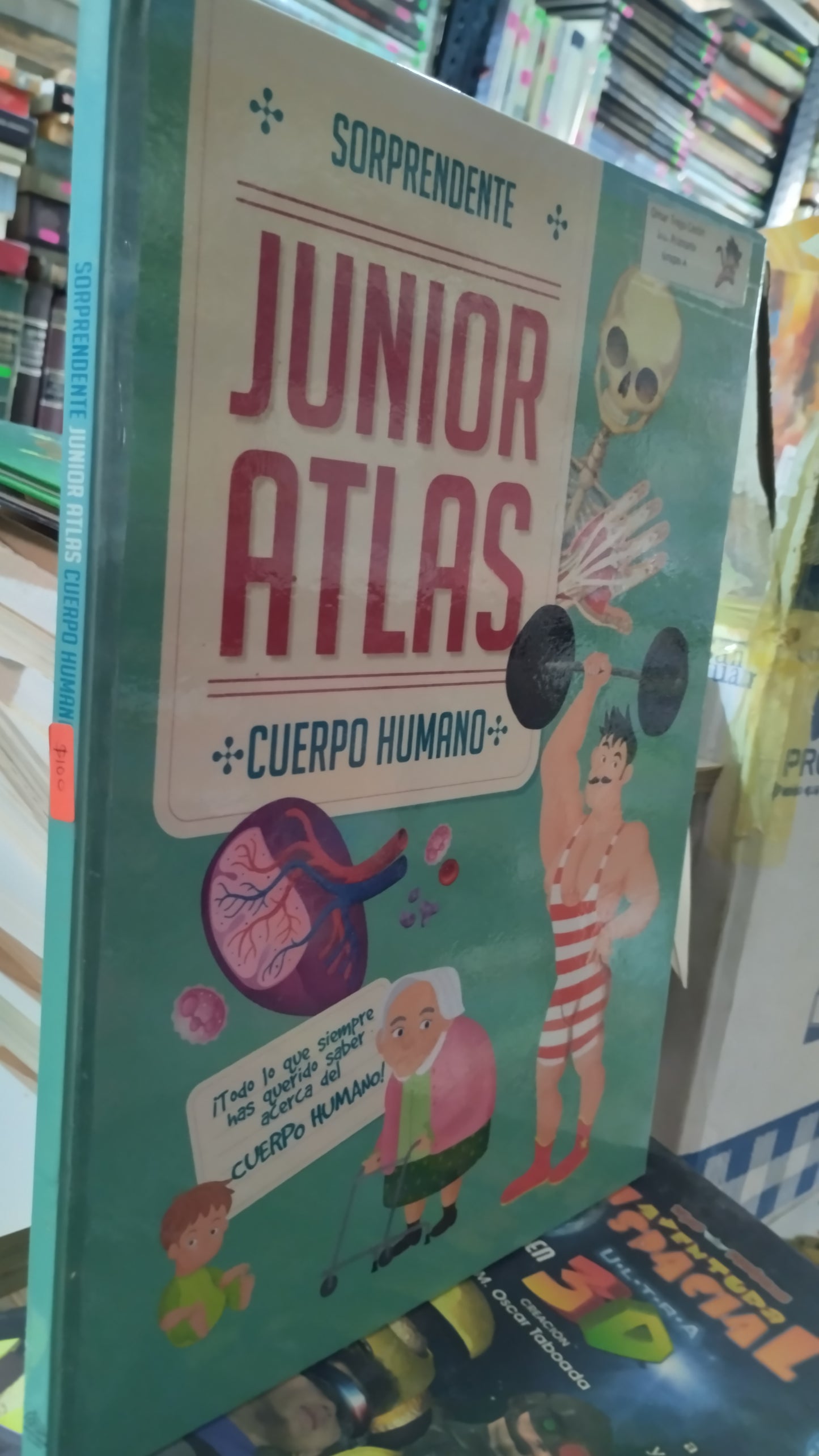 SORPRENDENTE JUNIOR ATLAS CUERPO HUMANO LIBRO USADO INFANTIL ALDAMA