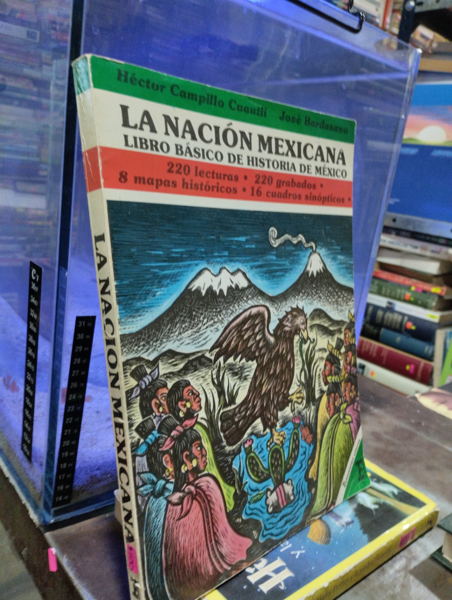 LA NACION MEXICANA POR HÉCTOR CAMPILLO CAUTLI USADO HISTORIA ALDAMA