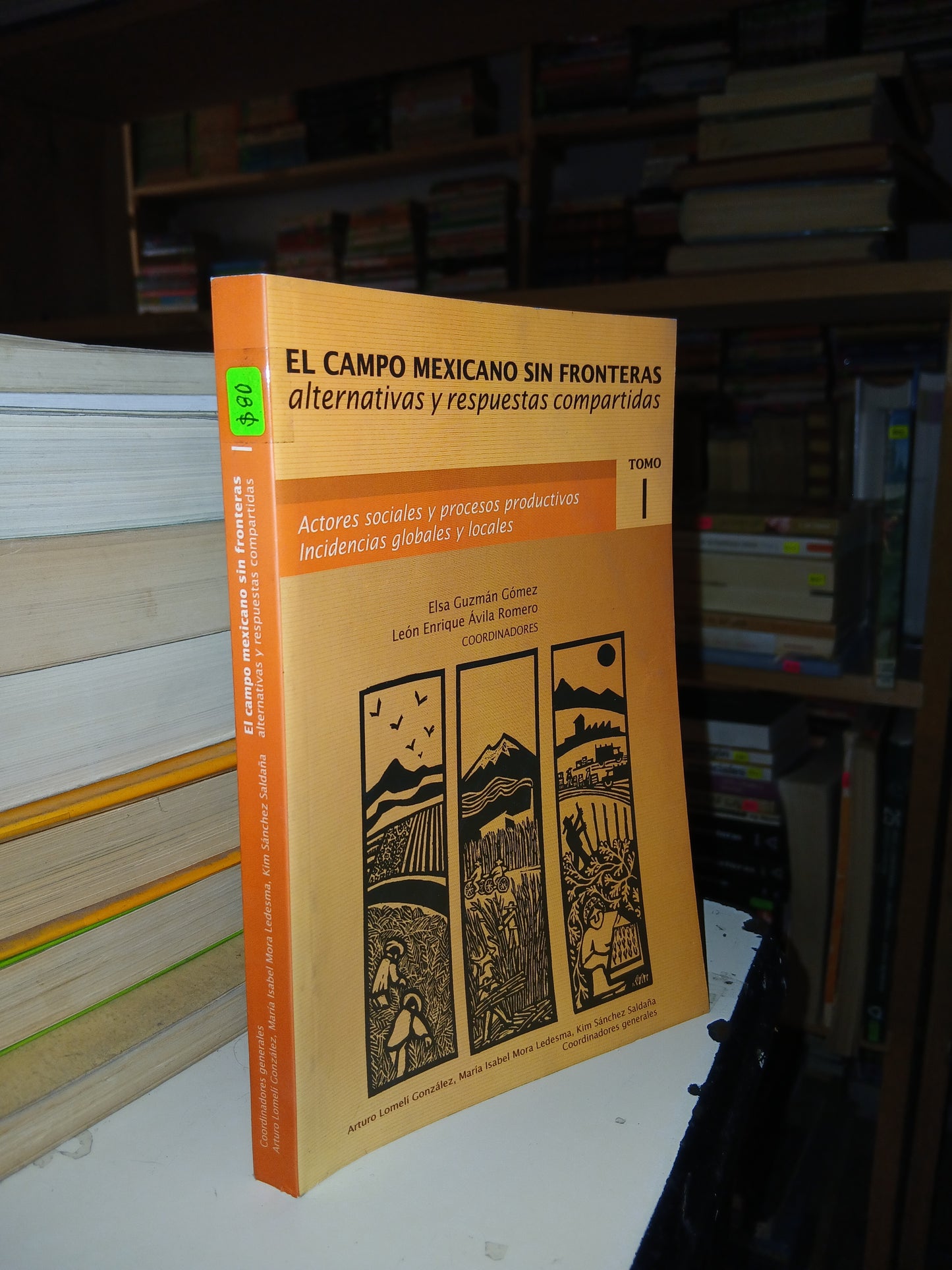 EL CAMPO MEXICANO SIN FRONTERAS: ALTERNATIVAS Y RESPUESTAS COMPARTIDAS TOMO I (VARIOS AUTORES) USADO AGRARIA LITERARIO 207