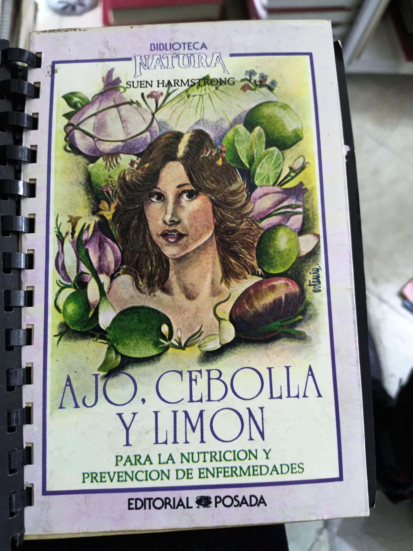 AJO CEBELLA Y LIMON POR SUEN HARMSTRONG USADO SALUD JUAREZ 515