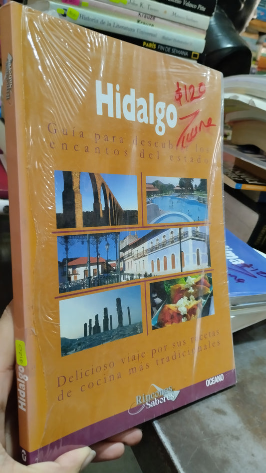 HIDALGO LIBRO USADO GEOGRAFIA ALDAMA