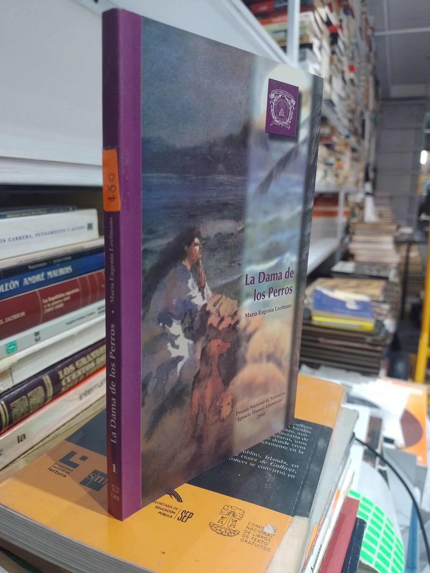 LA DAMA DE LOS PERROS POR MARIA EUGENIA LEEFMANS USADO NOVELA JUAREZ 515