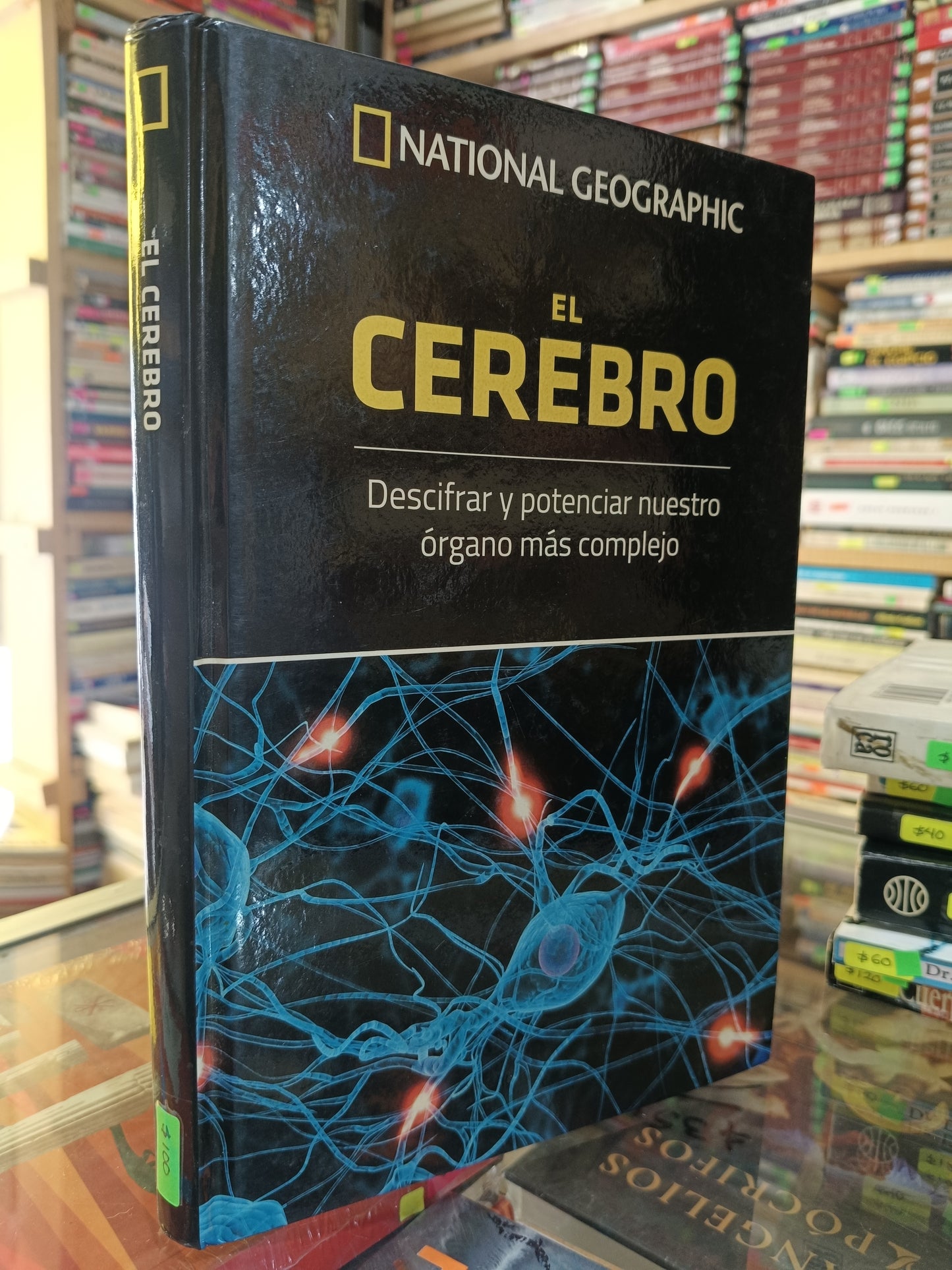 EL CEREBRO USADO CIENCIA JUAREZ 507
