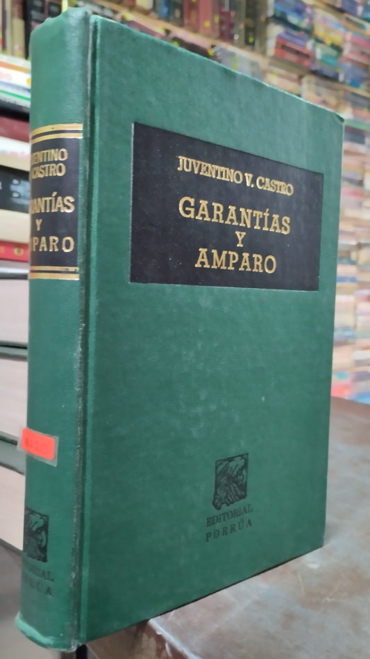 GARANTIAS Y AMPARO POR JUVENTINO V CASTRO LIBRO USADO DERECHO ALDAMA