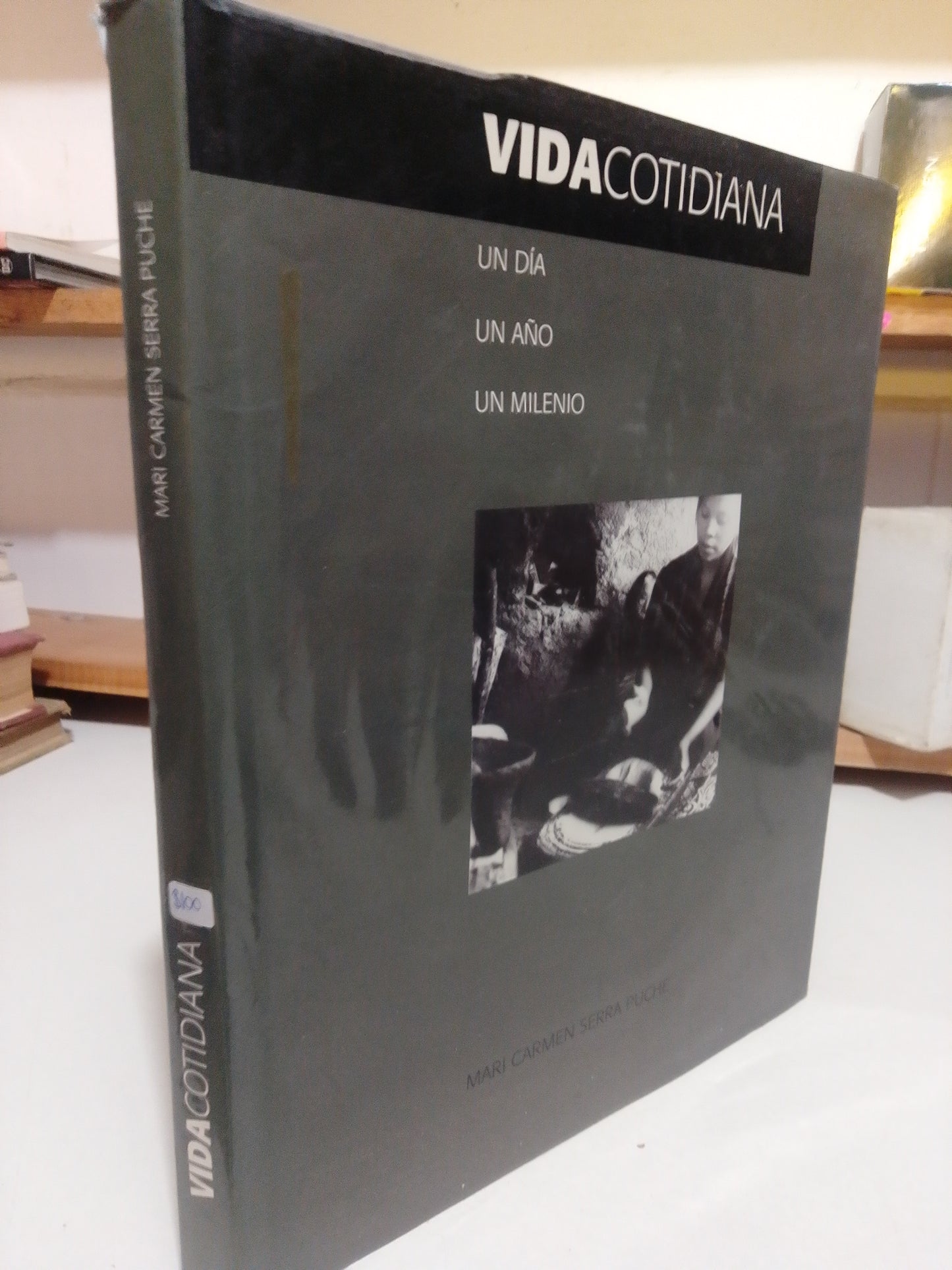 VIDA COTIDIANA POR MARI CARMEN SERRA USADO ARTE JUAREZ