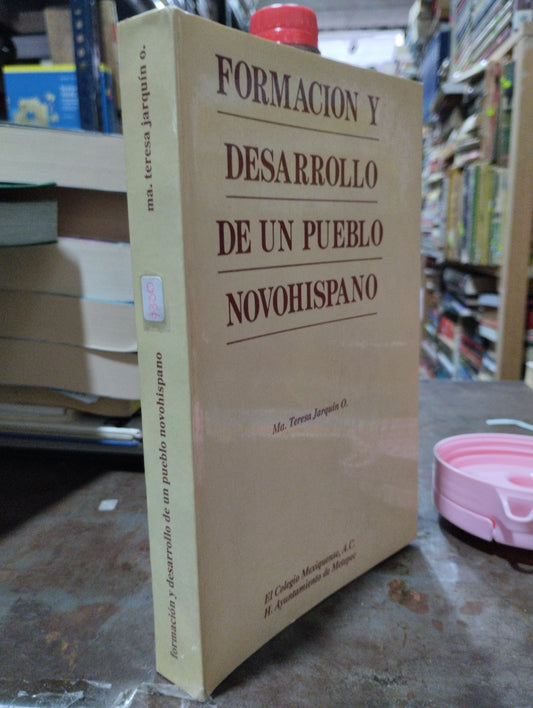 FORMACION Y DESARROLLO DE UN PUEBLO NOVOHISPANO POR MA. TERESA JARQUIN O. USADO HISTORIA ALDAMA
