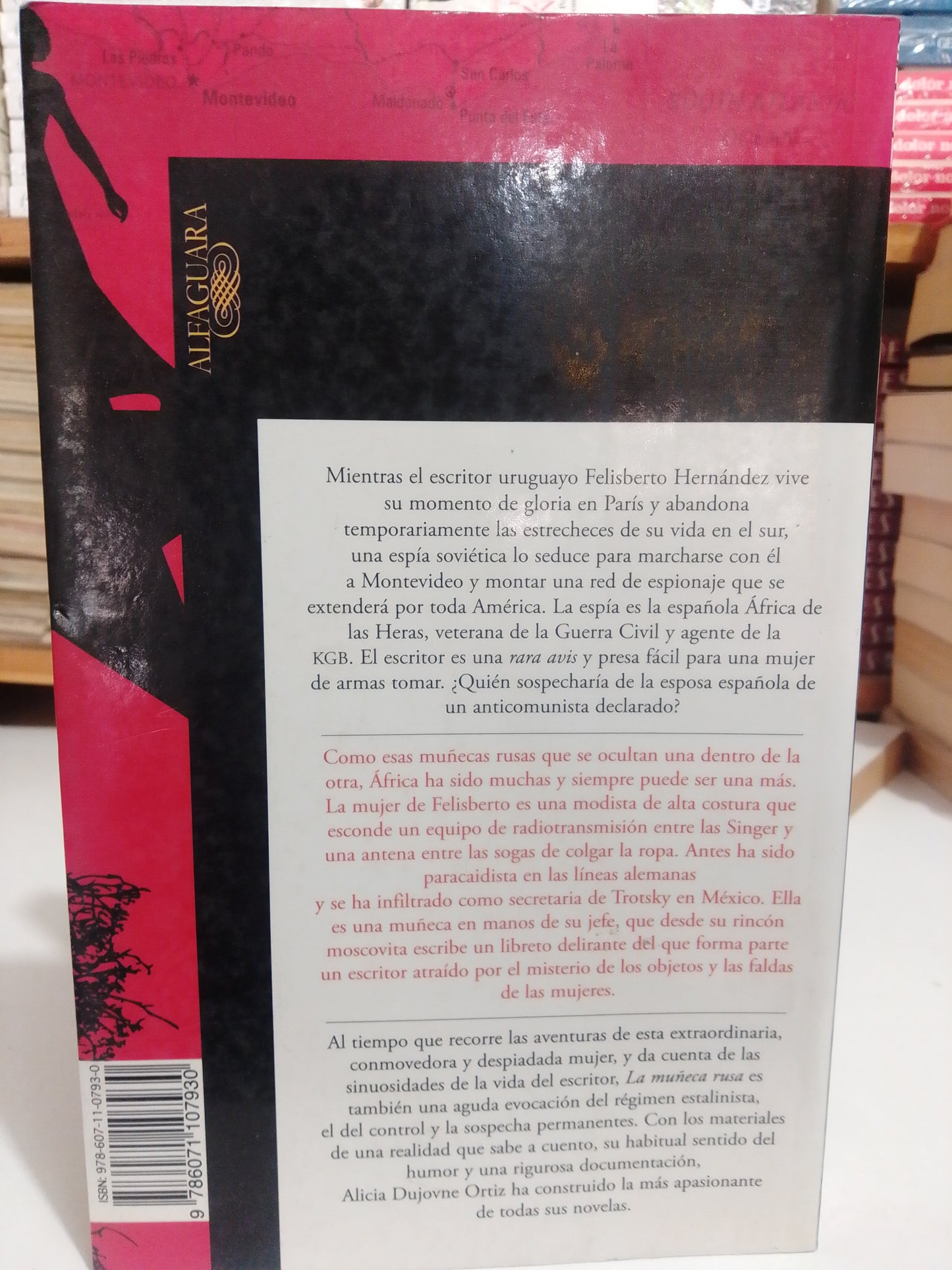 LA MUÑECA RUSA POR ALICIA DUJOVNE ORTIZ USADO NOVELA JUAREZ