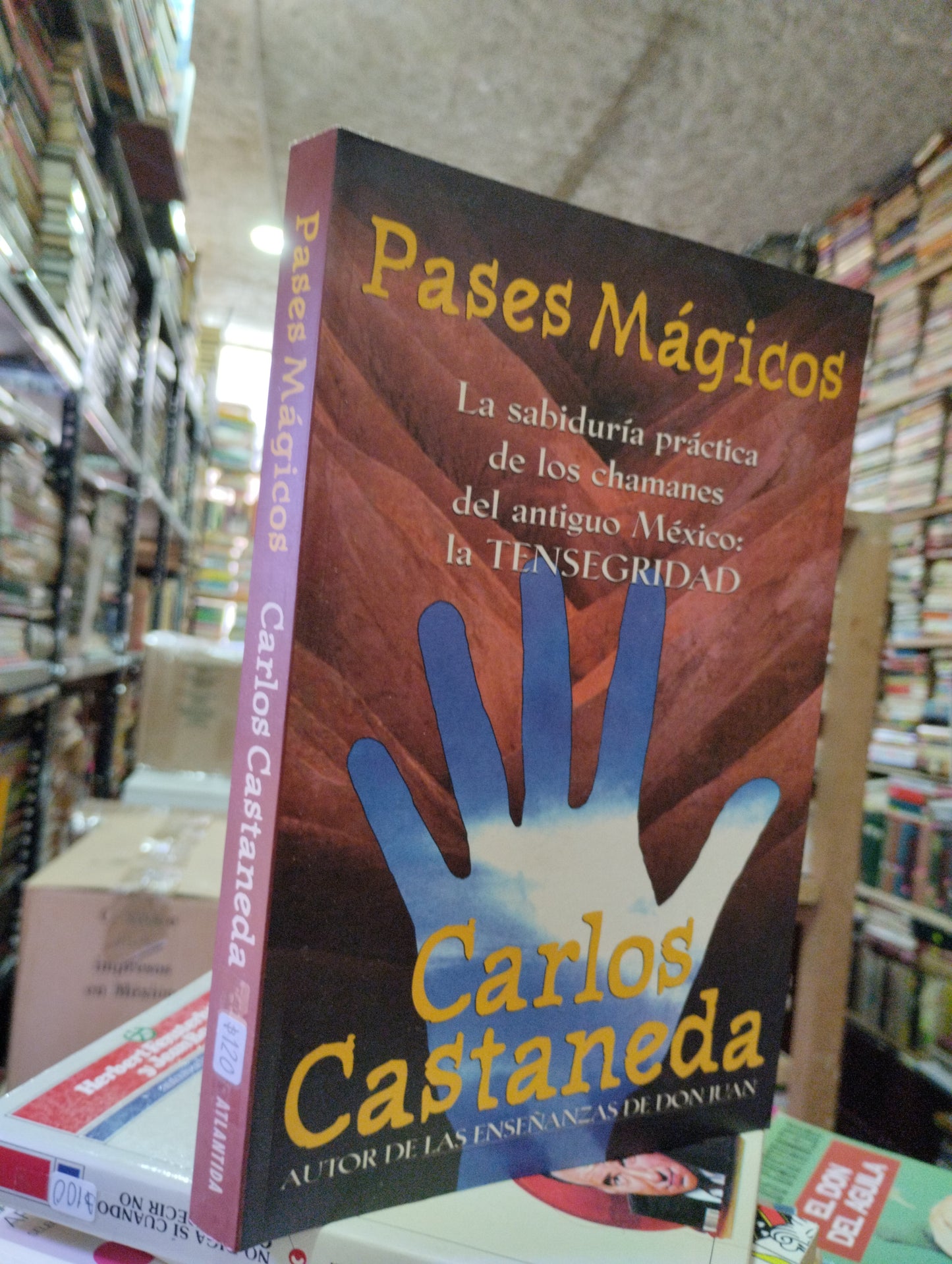 PASES MAGICOS POR CARLOS CASTANEDA USADO ESOTERISMO ALDAMA