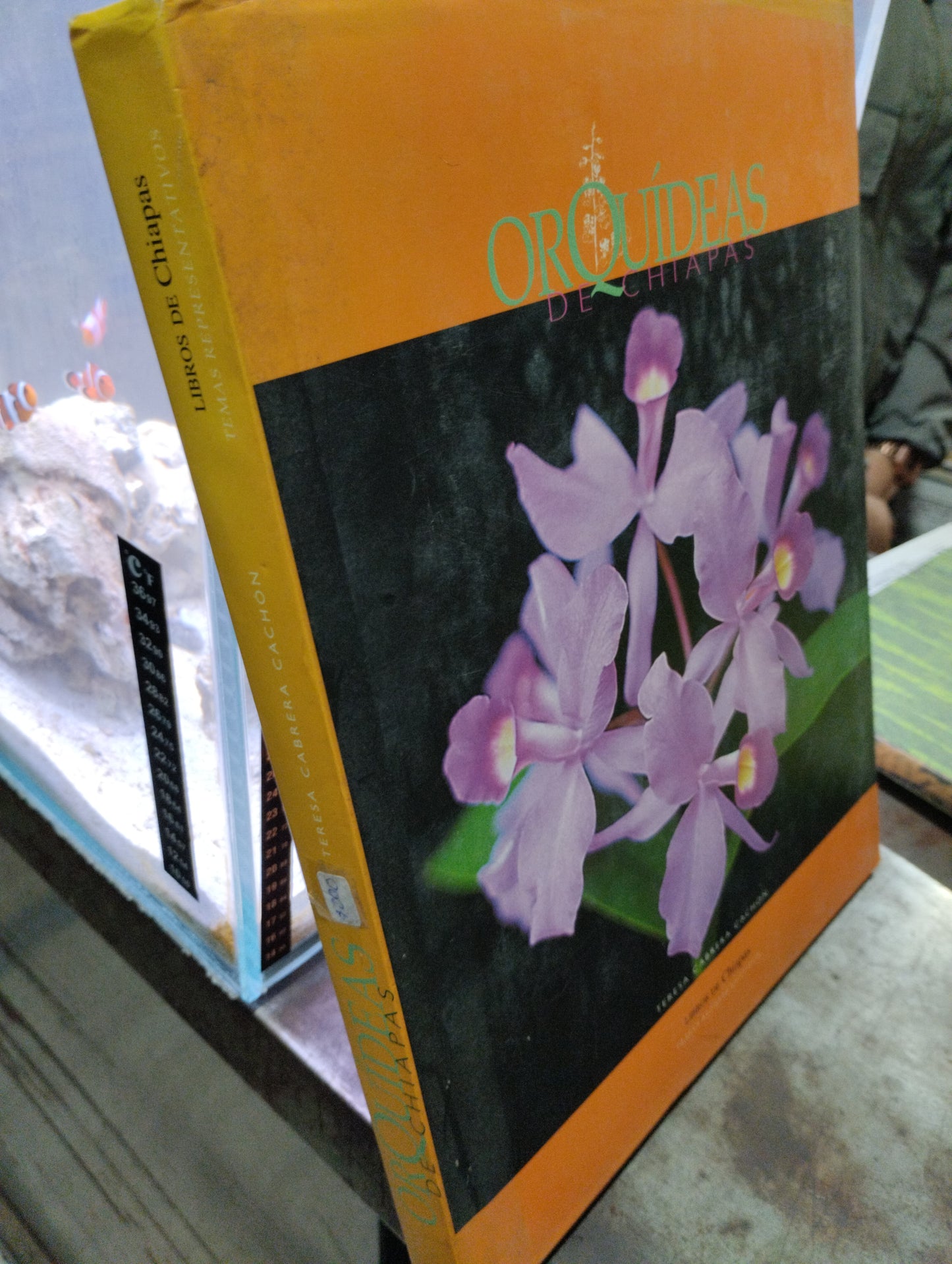 ORQUIDEAS DE CHIAPAS POR TERESA CABRERA USADO ARTE ALDAMA