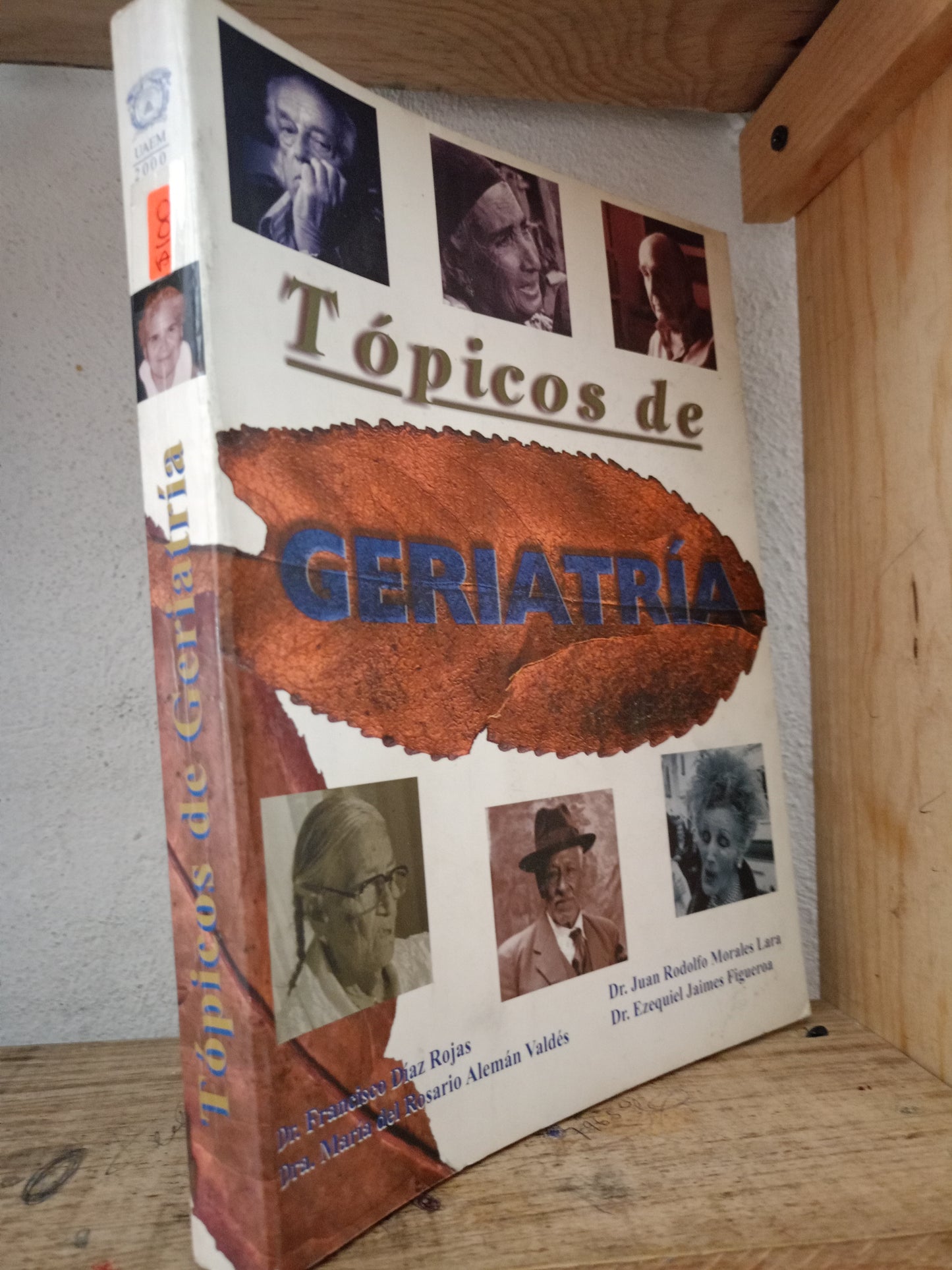 TOPICOS DE GERIATRIA POR FRANCISCO DÍAZ ROJAS MARÍA DEL ROSARIO ALEMÁN VALDÉS JUAN RODOLFO MORALES LARA ESQUIVEL JAIMES FIGUEROA USADO SALUD LITERARIO 305