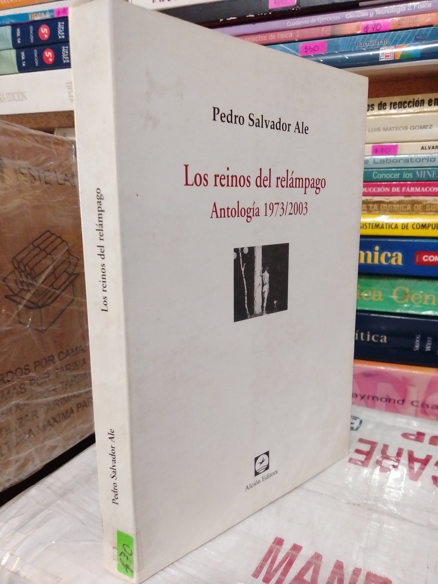 LOS REINOS DEL RELÁMPAGOS POR PEDRO SALVADOR ALE USADO NOVELA JUÁREZ