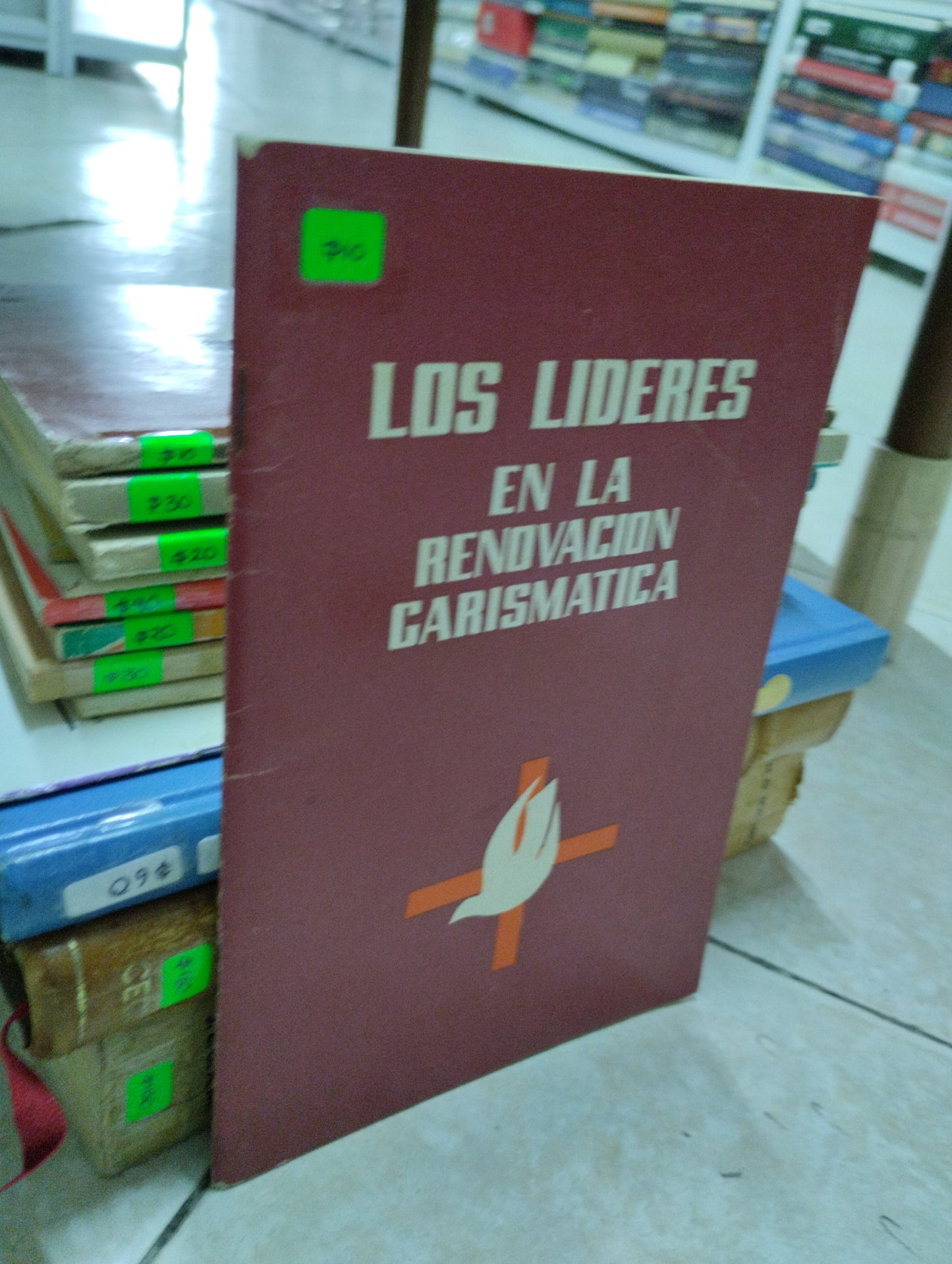 LOS LIDERES EN LA RENOVACION CARISMATICA, EQUIPO PASTORAL NACIONAL, USADO, RELIGION, JUAREZ 515