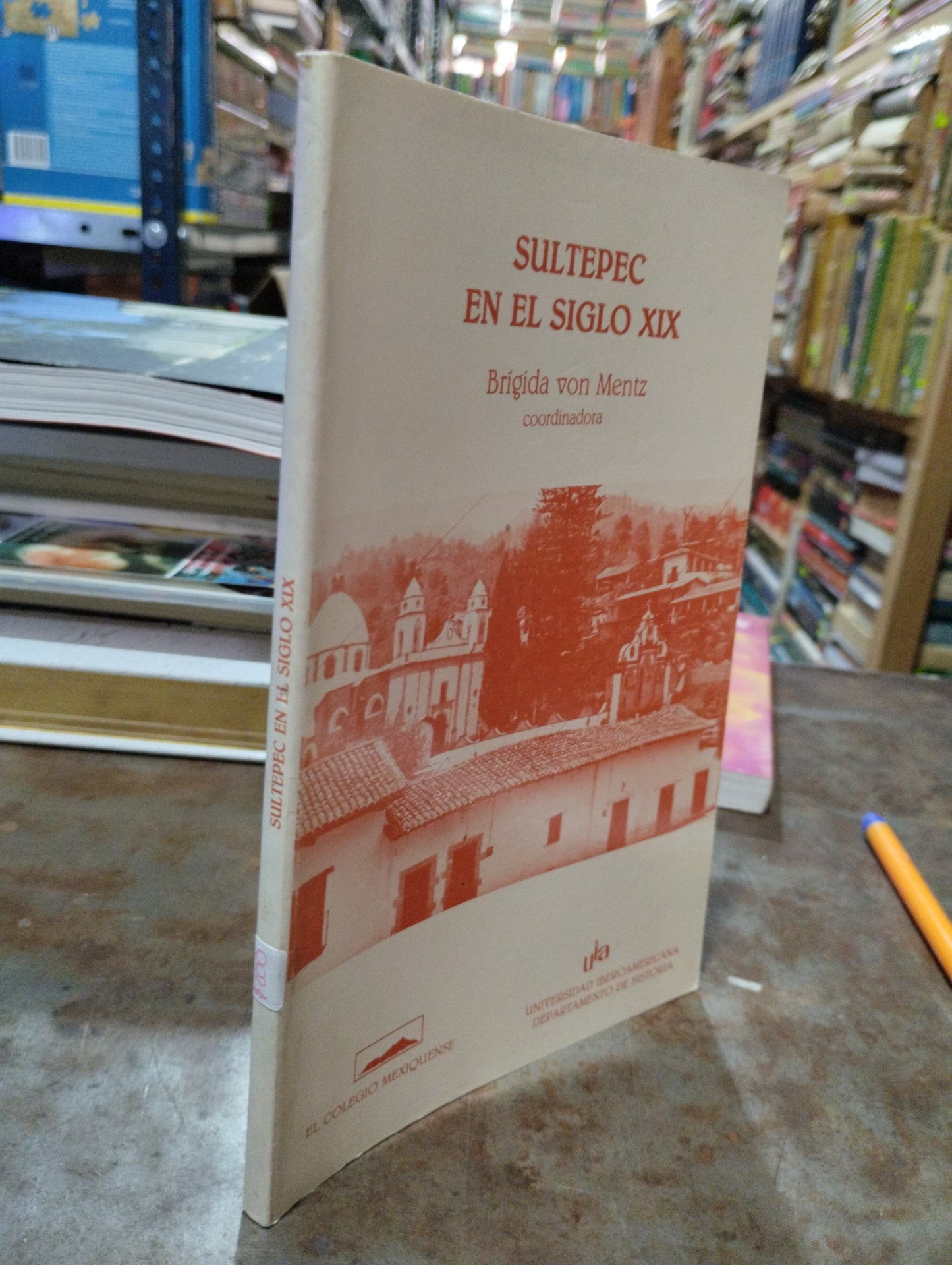 SULTEPEC EN EL SIGLO XIX POR BRIGIDA VON MENTZ USADO HISTORIA ALDAMA