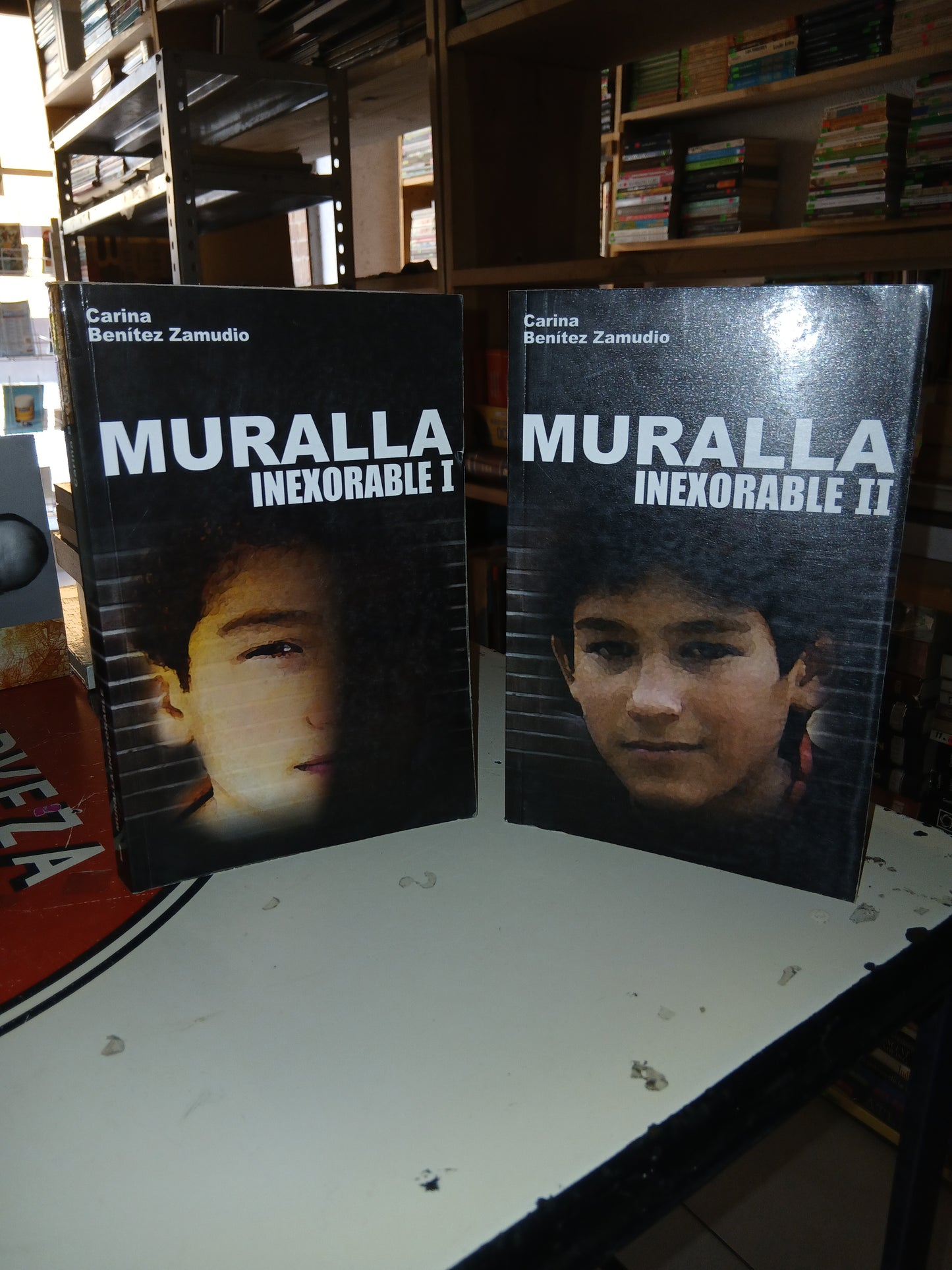 MURALLA INEXORABLE I Y II POR CARINA BENITEZ ZAMUDIO USADO NOVELA LITERARIO 207