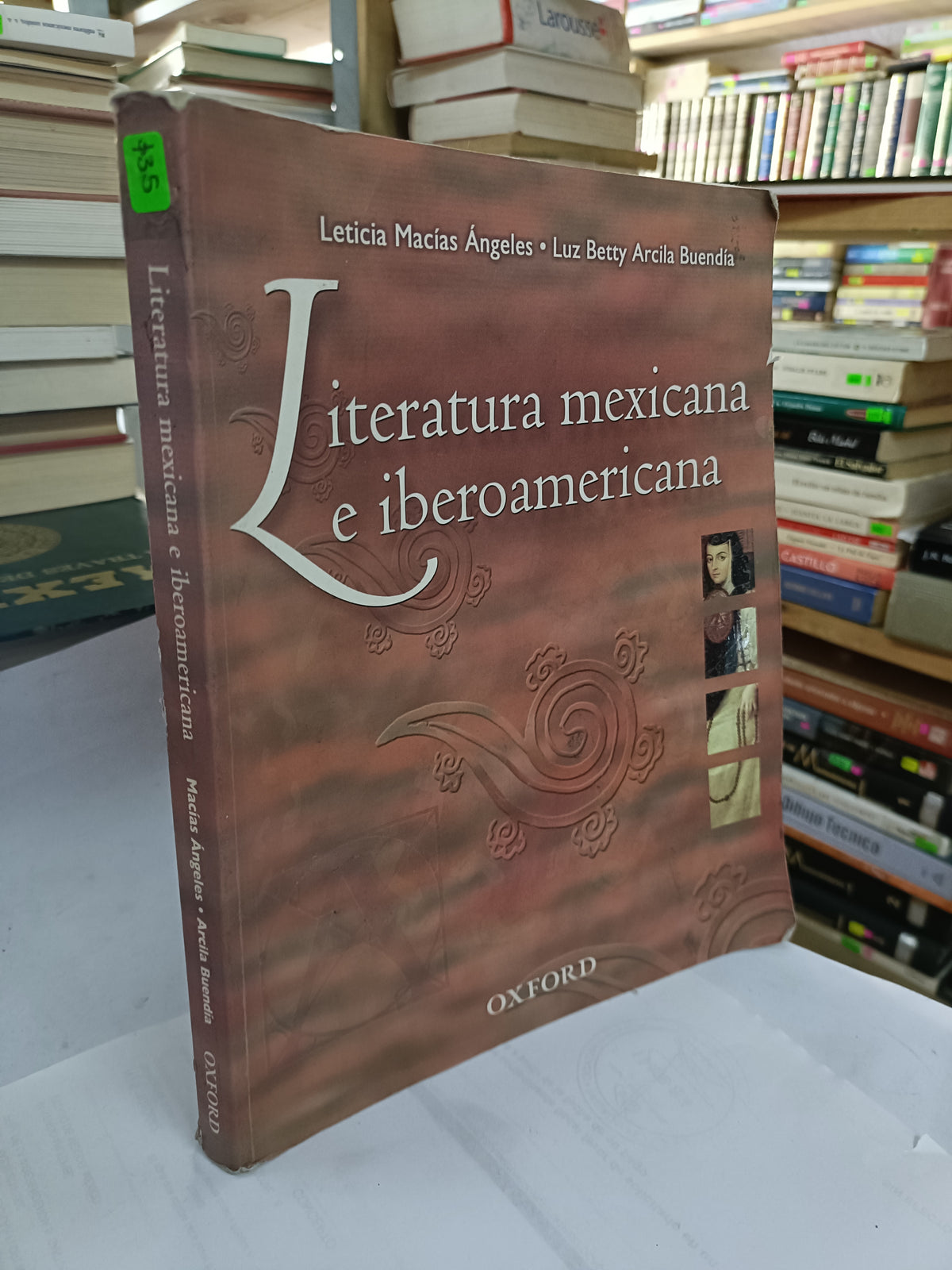 LITERATURA MEXICANA E IBEROAMERICANA POR LETICIA MACIAS ANGELES USADO NOVELA LITERARIO 207