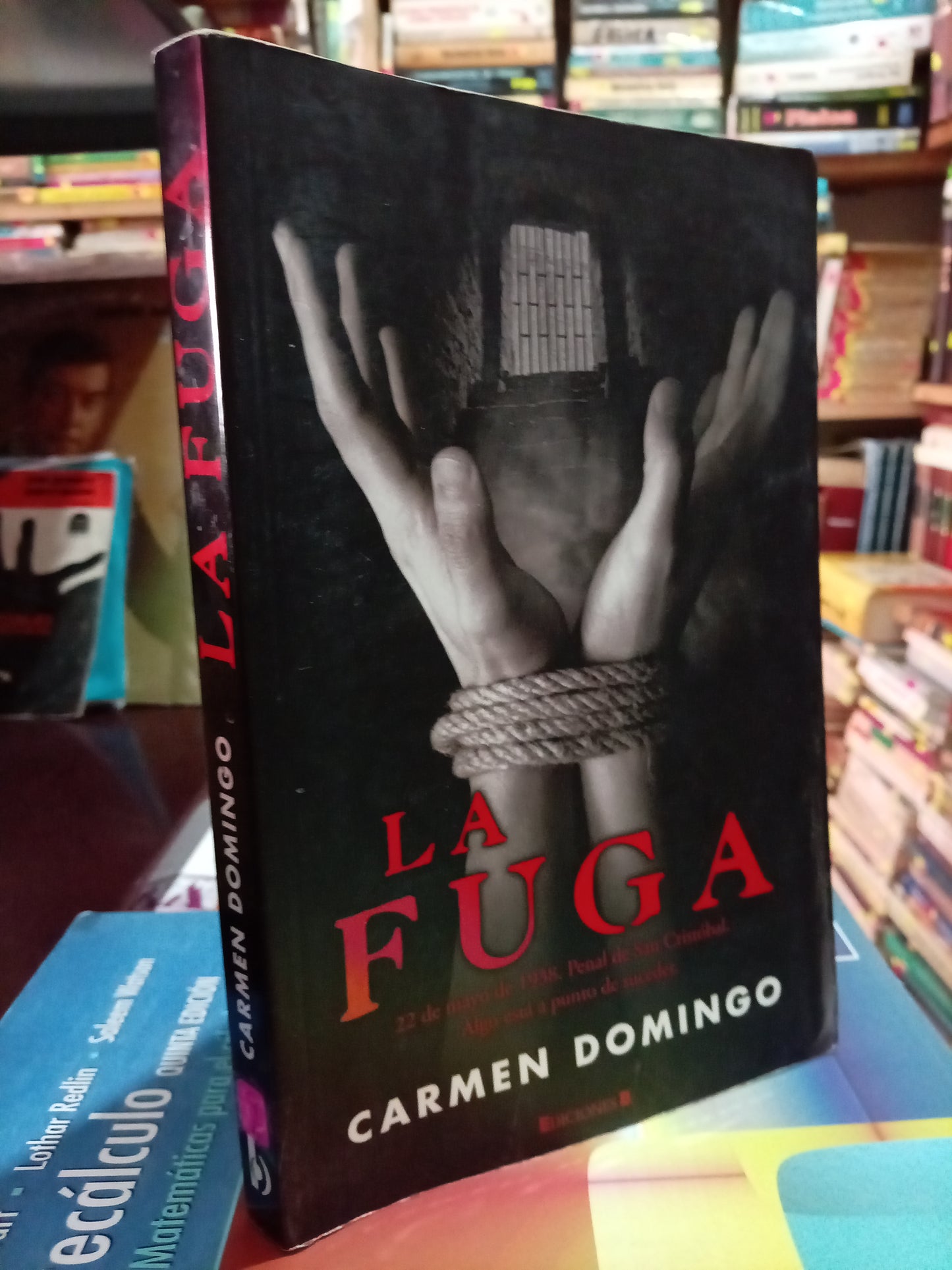LA FUGA CARMEN DOMINGO USADO NOVELA LITERARIO 305